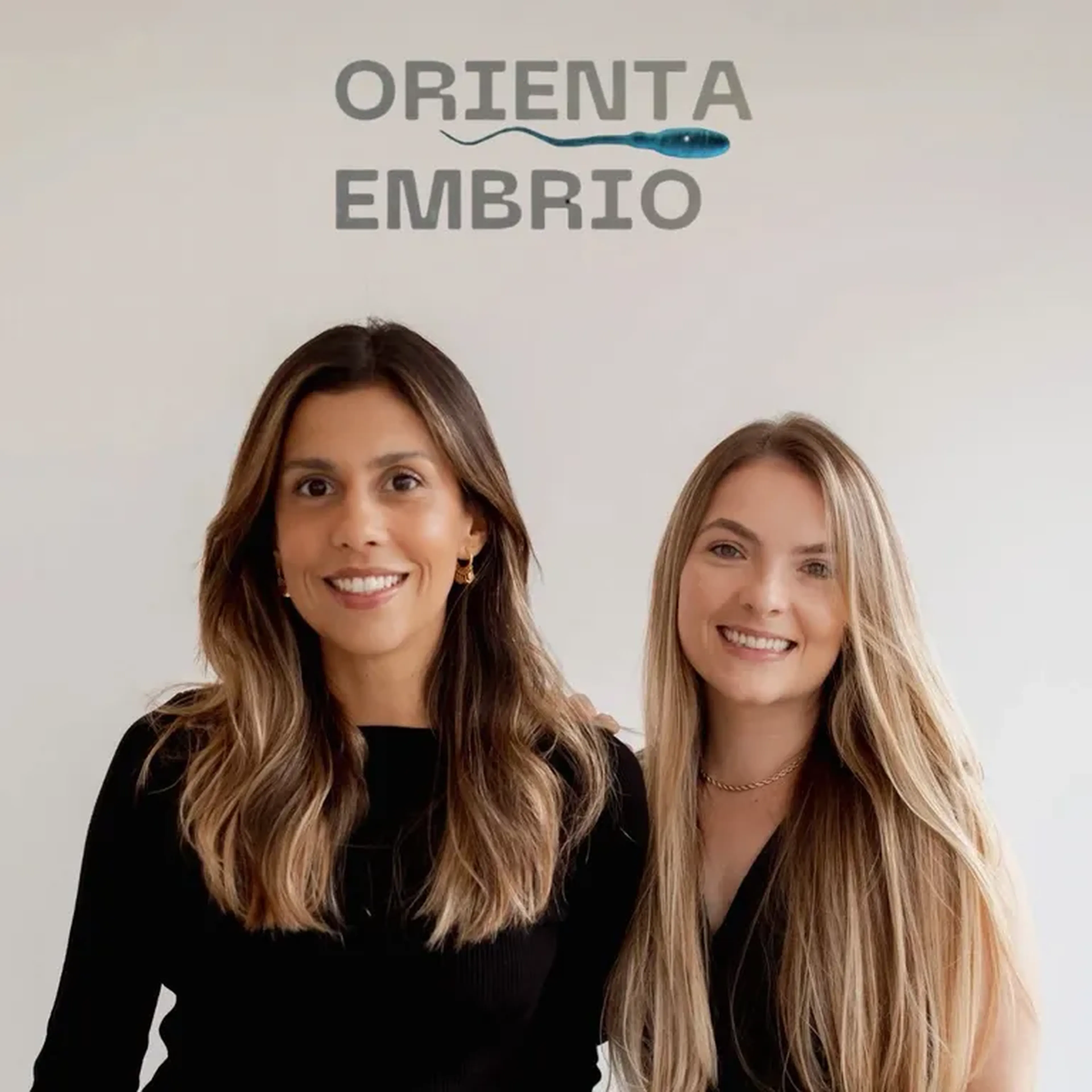 Técnicas básicas de FIV imagem