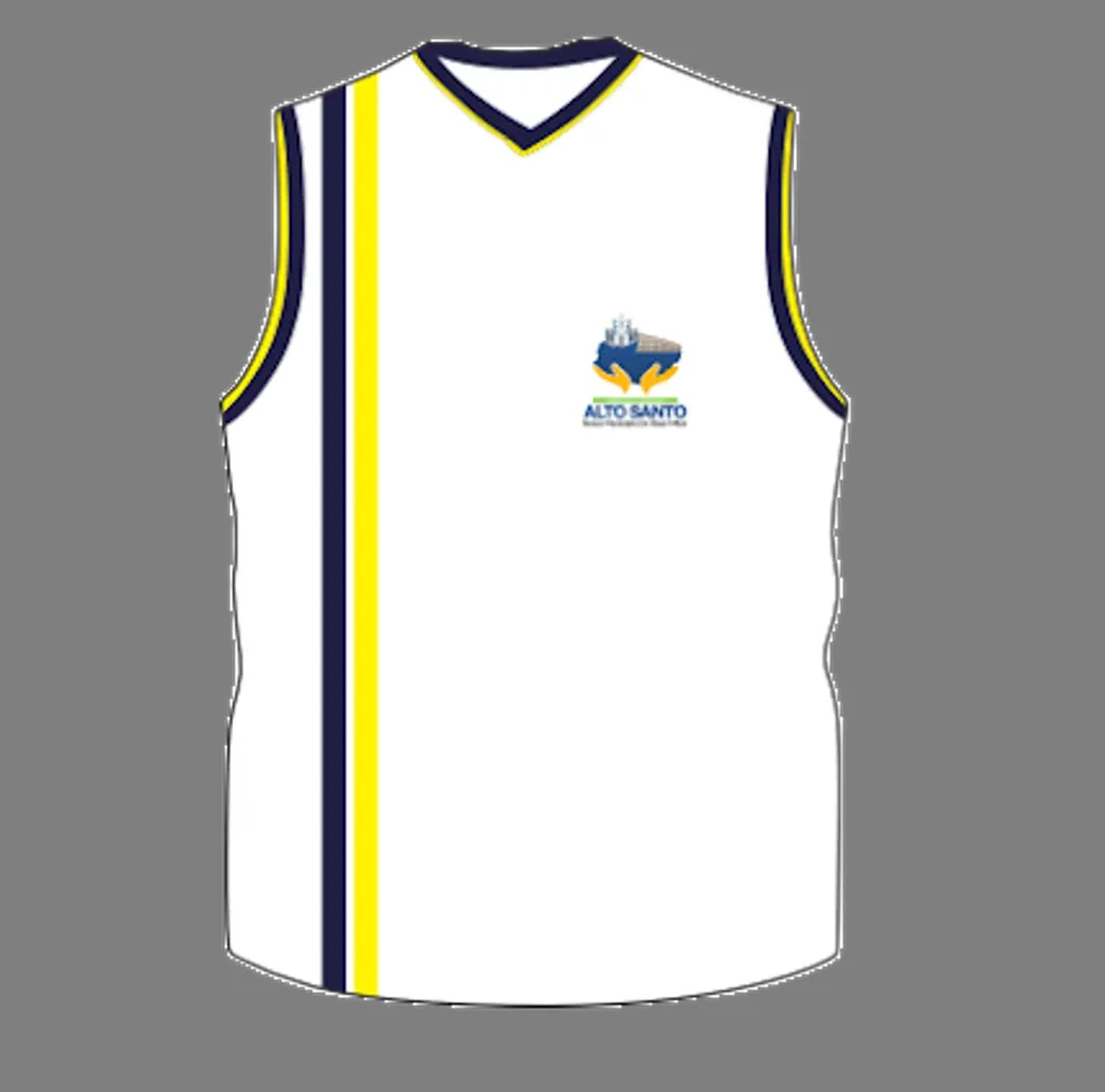 Regata Municipal imagem