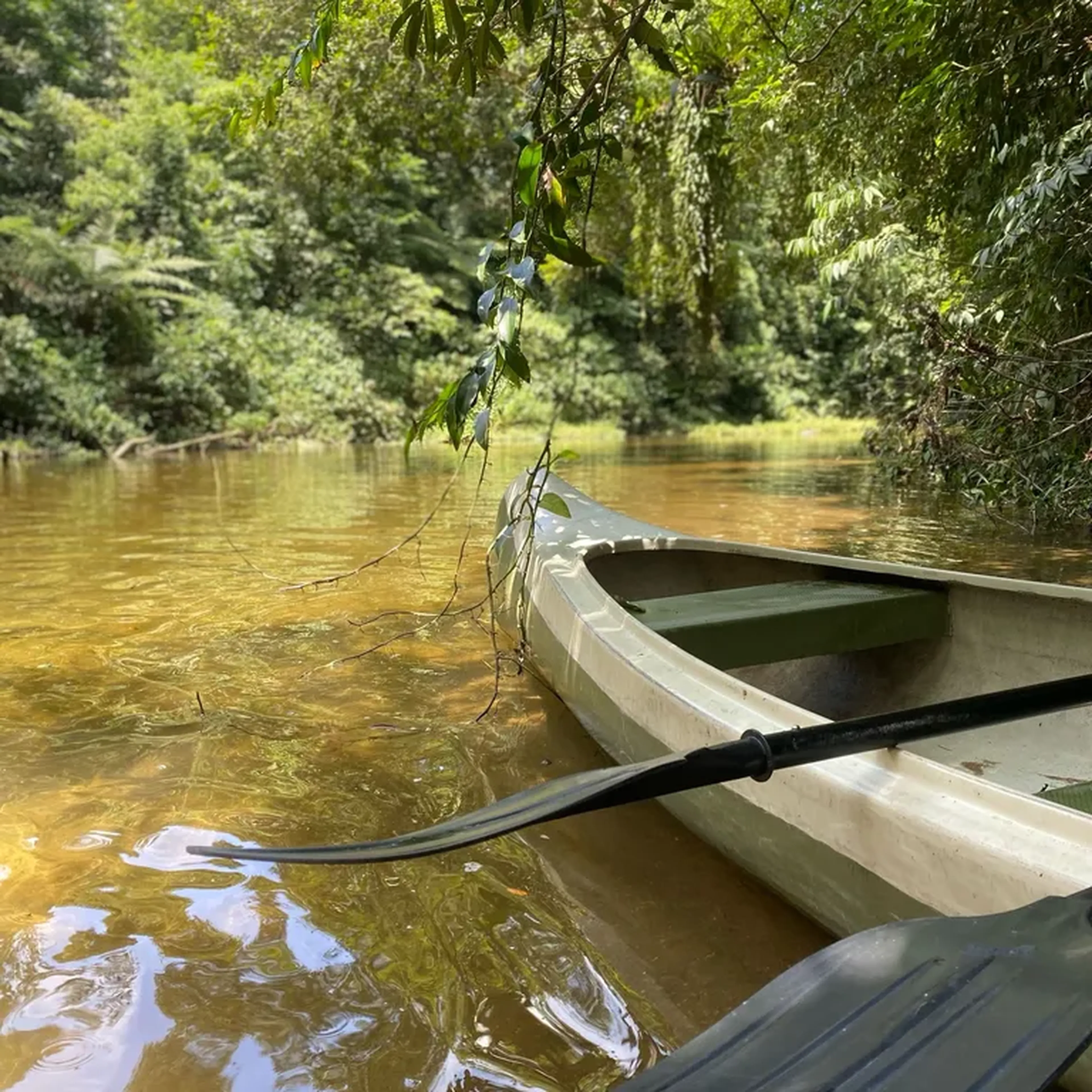📆(21-11) Remada no Rio Jaguareguava em Bertioga imagem