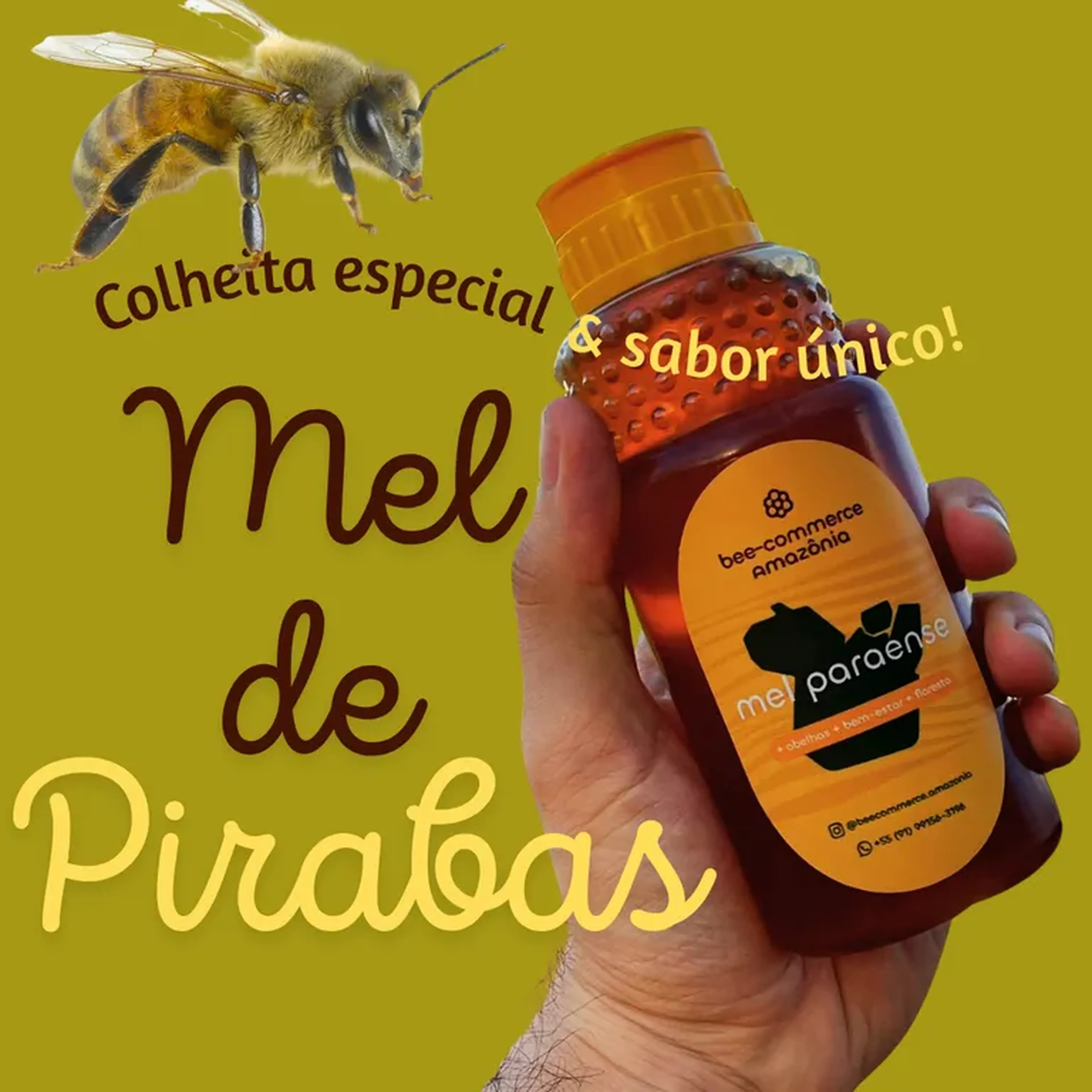 Mel de São João de Pirabas - 350 ml imagem