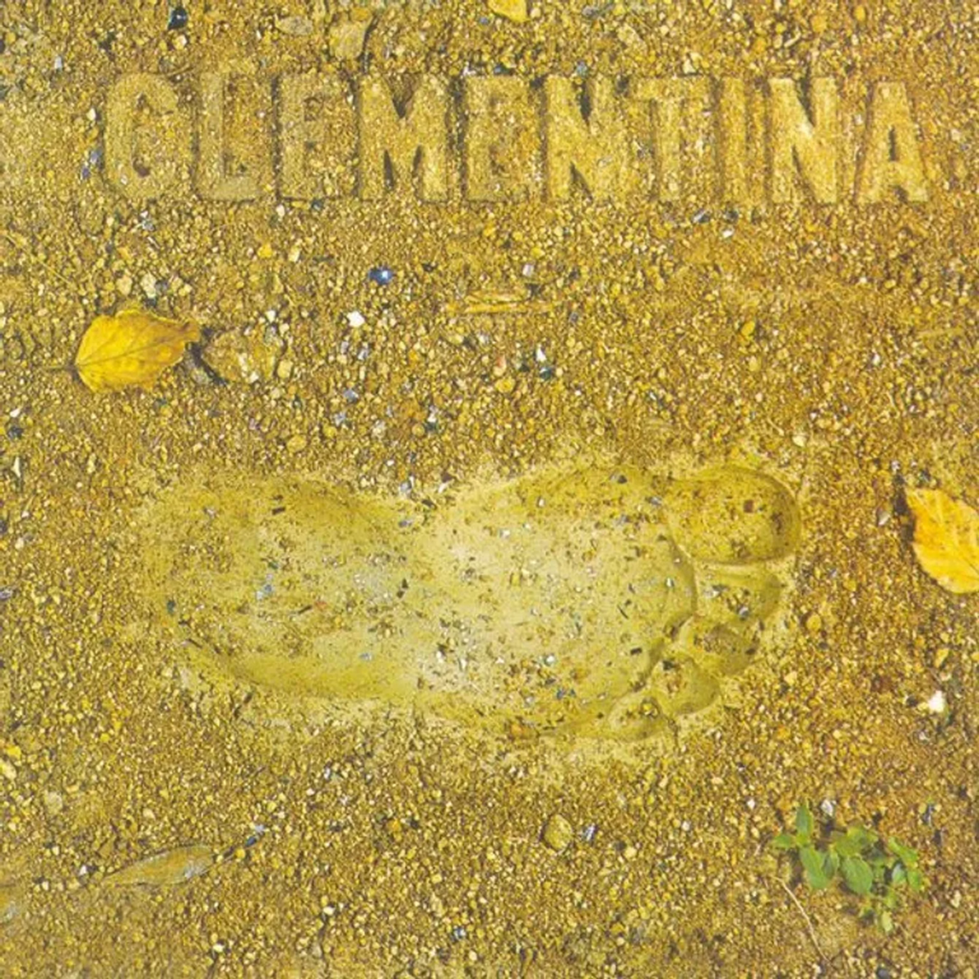 LP Clementina E Convidados BR 1985 USADO imagem