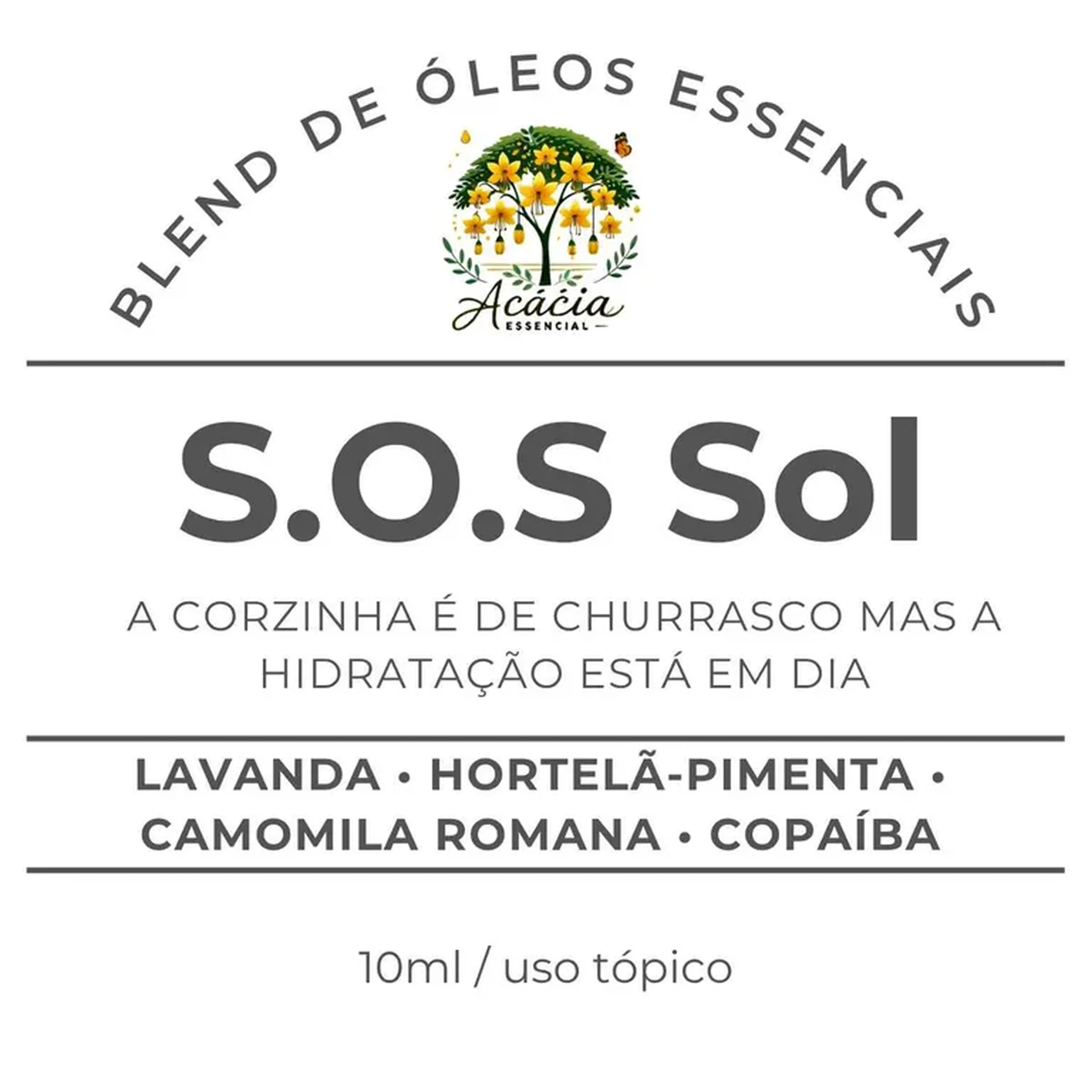 Blend S.O.S Sol | Roll-on 10ml imagem