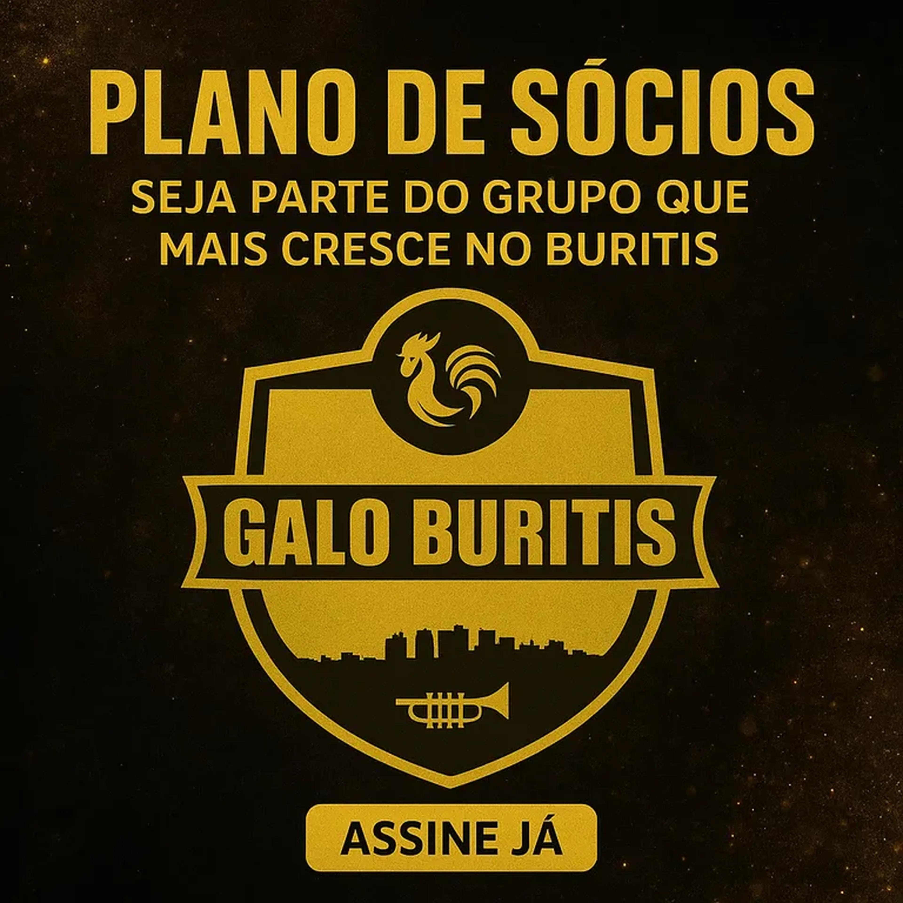 Plano de Sócios da GALO Buritis - Trimestral imagem