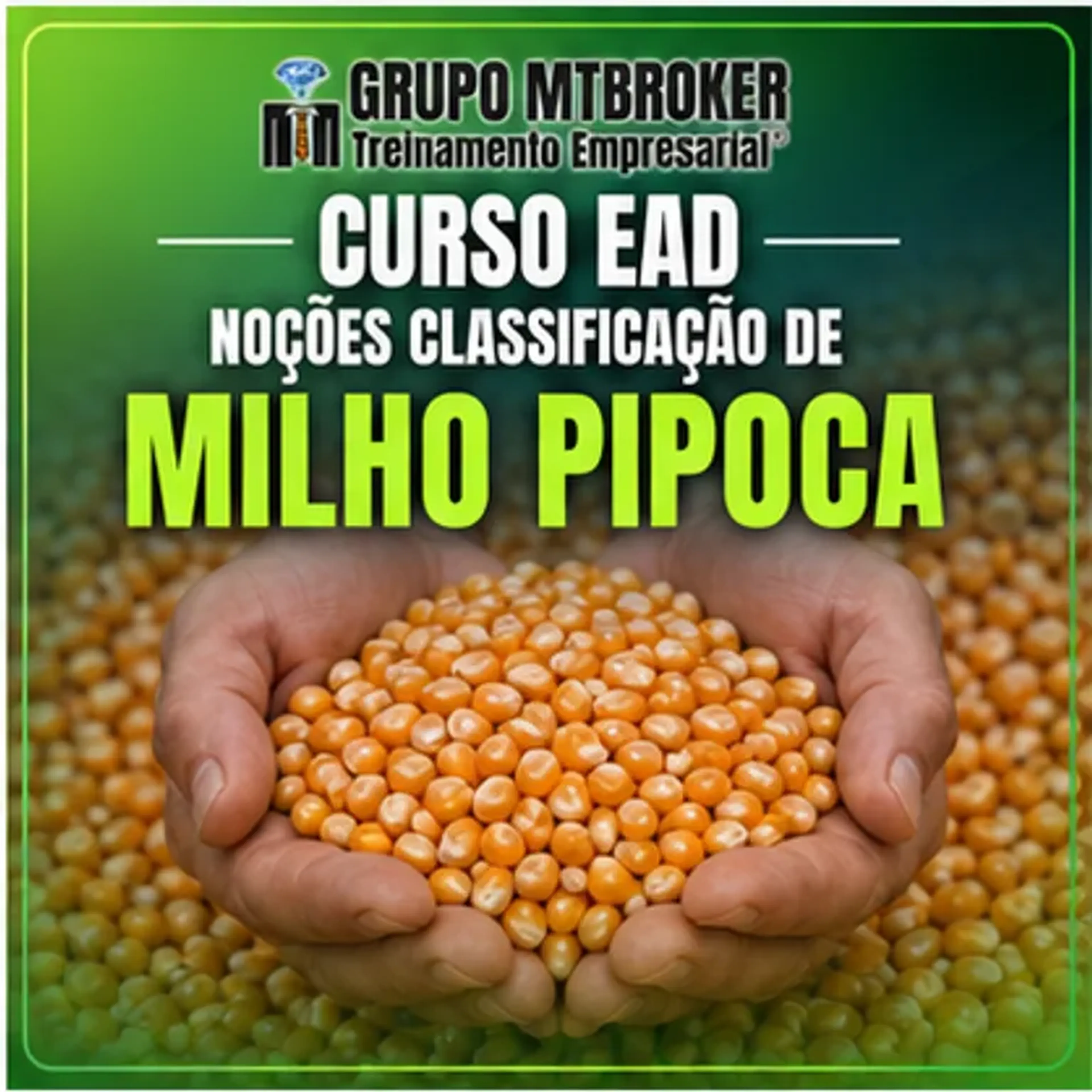 CURSO008-NOÇÕES DE CLASSIFICAÇÃO DE MILHO PIPOCA imagem