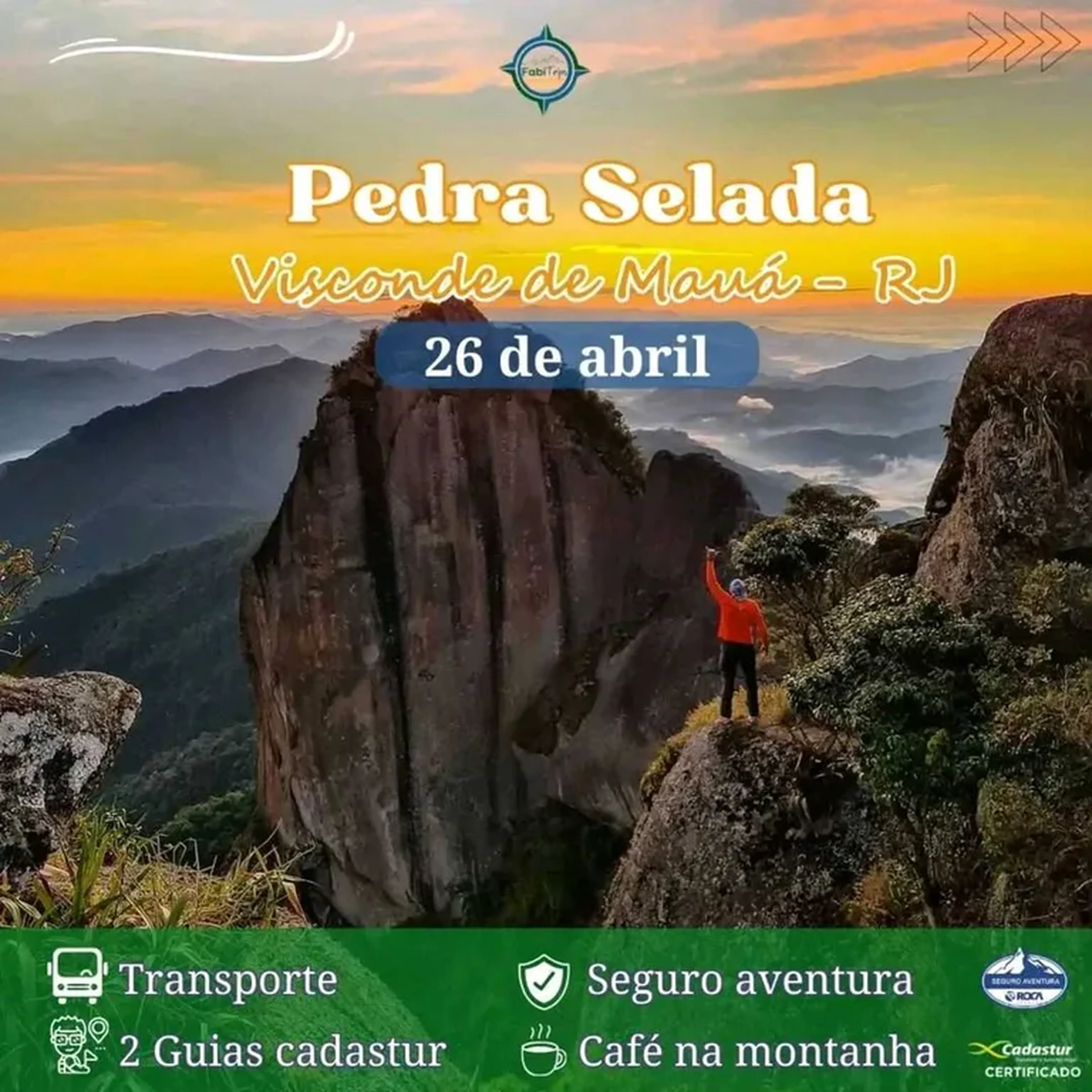 pedra selada imagem