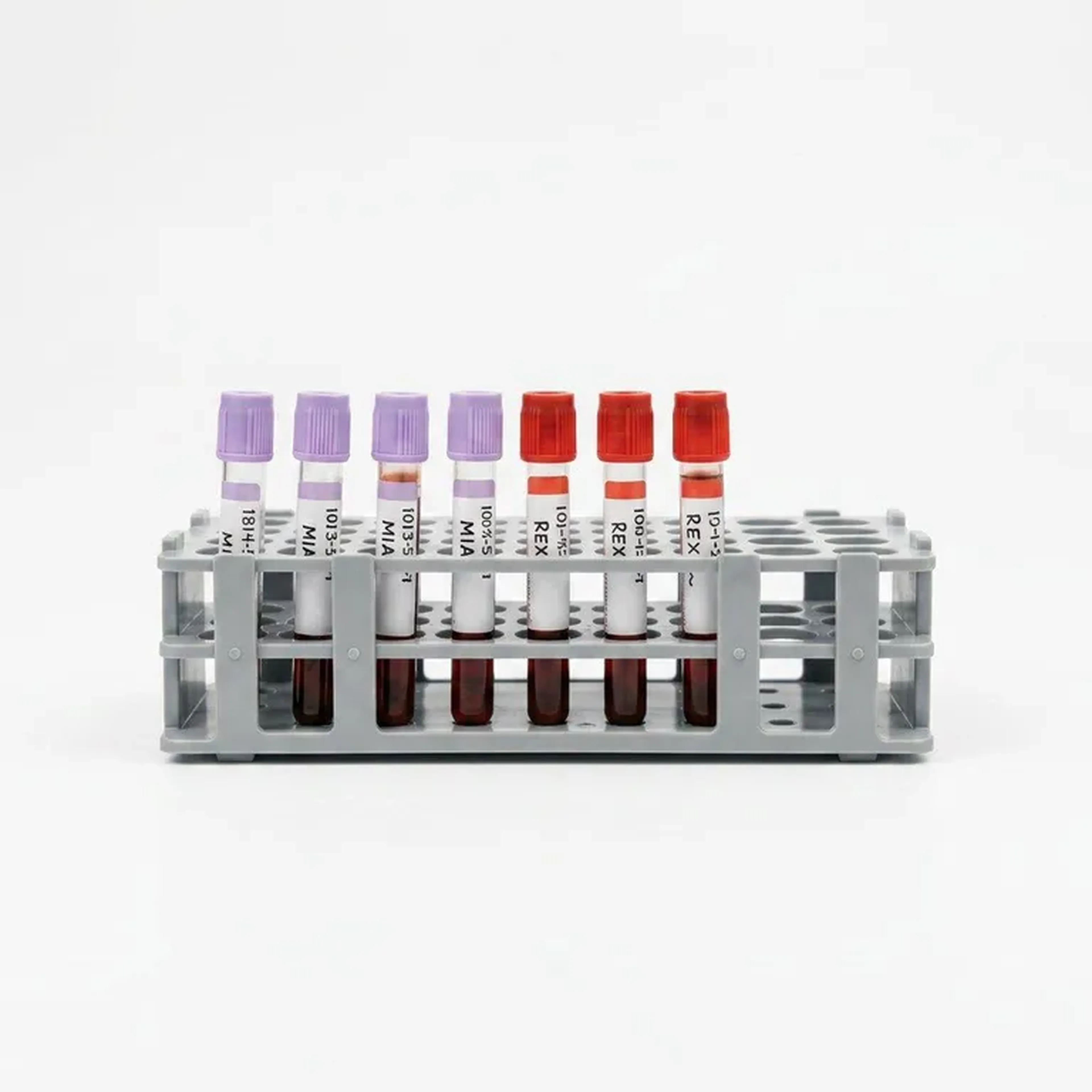 Check-up Anual Para Raiva (Viagem Nacional) imagem