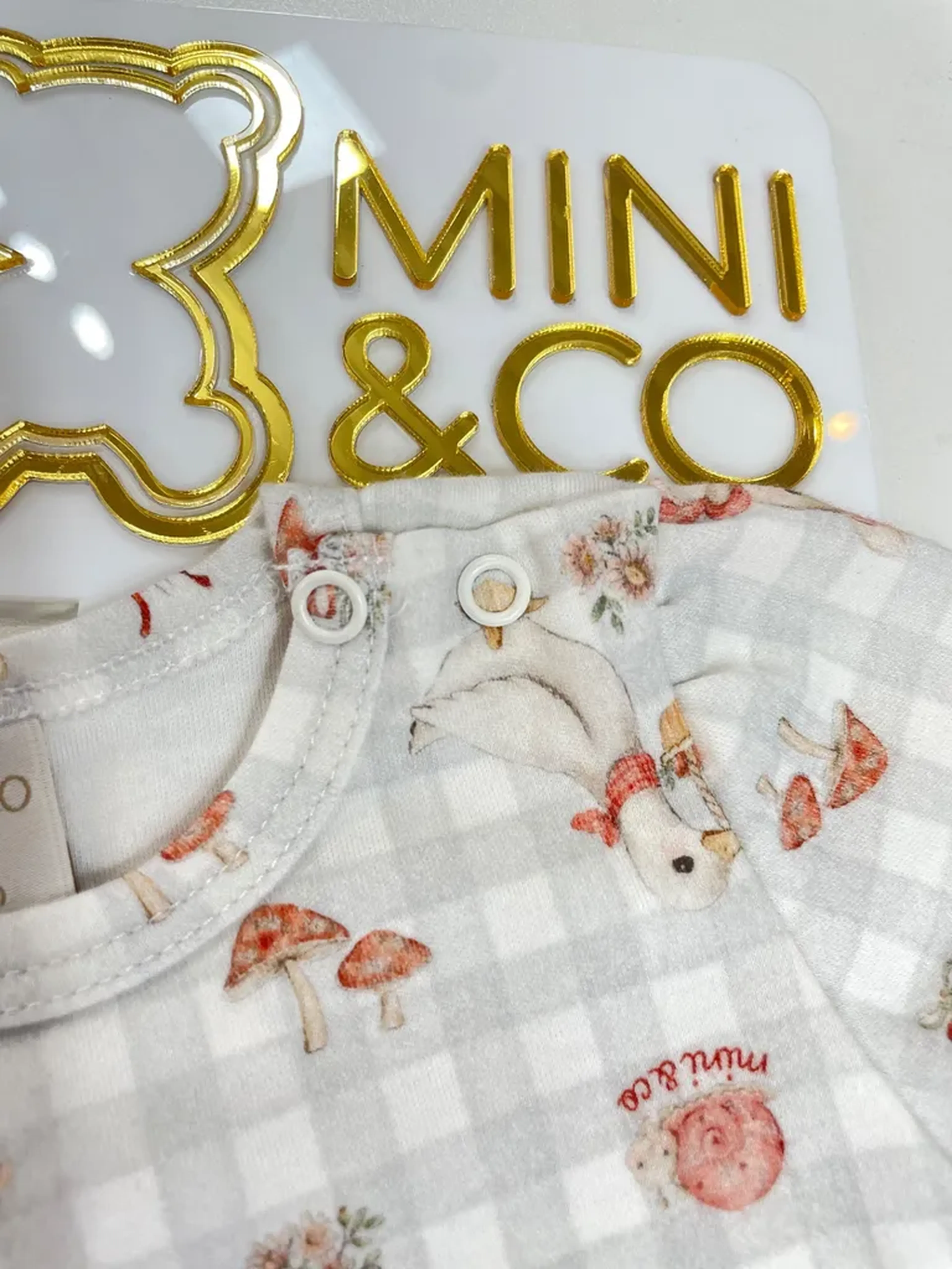 Minieco imagem