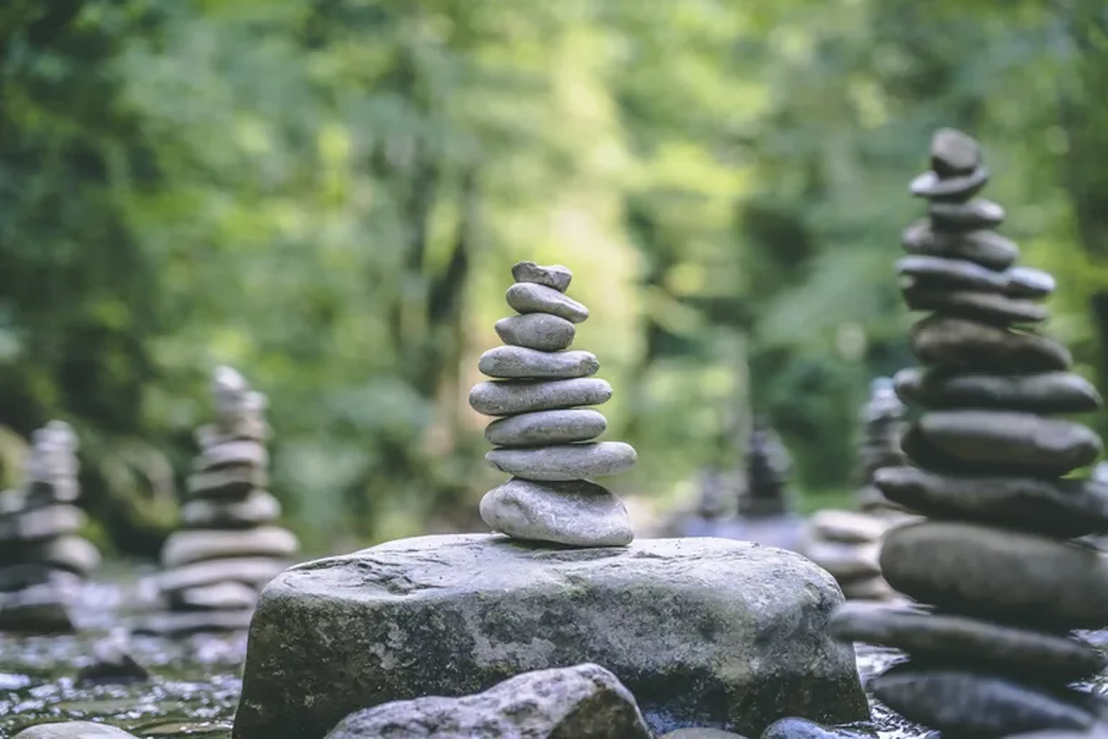 Zen imagem