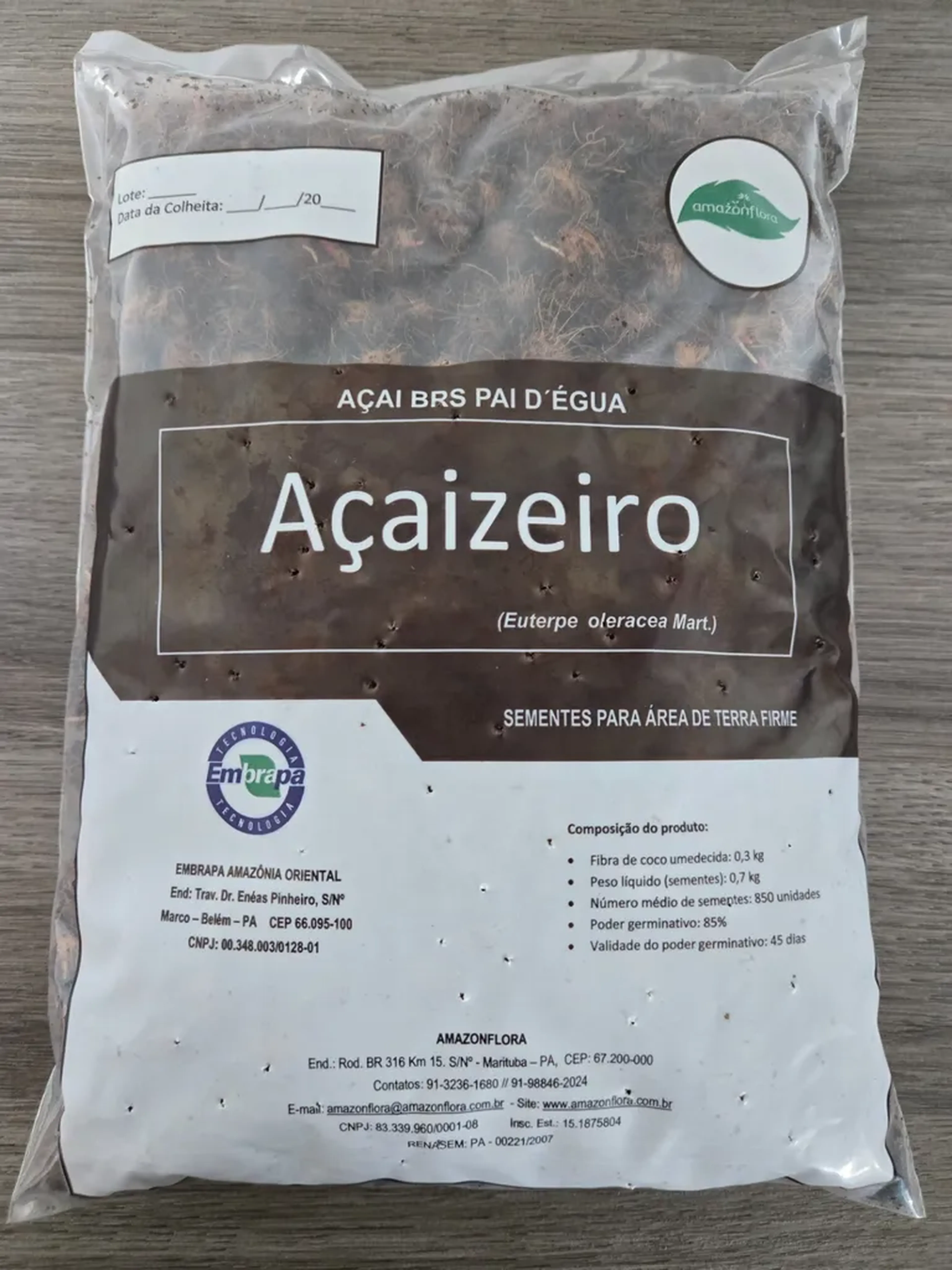 Semente de Açaí BRS pai D'egua imagem
