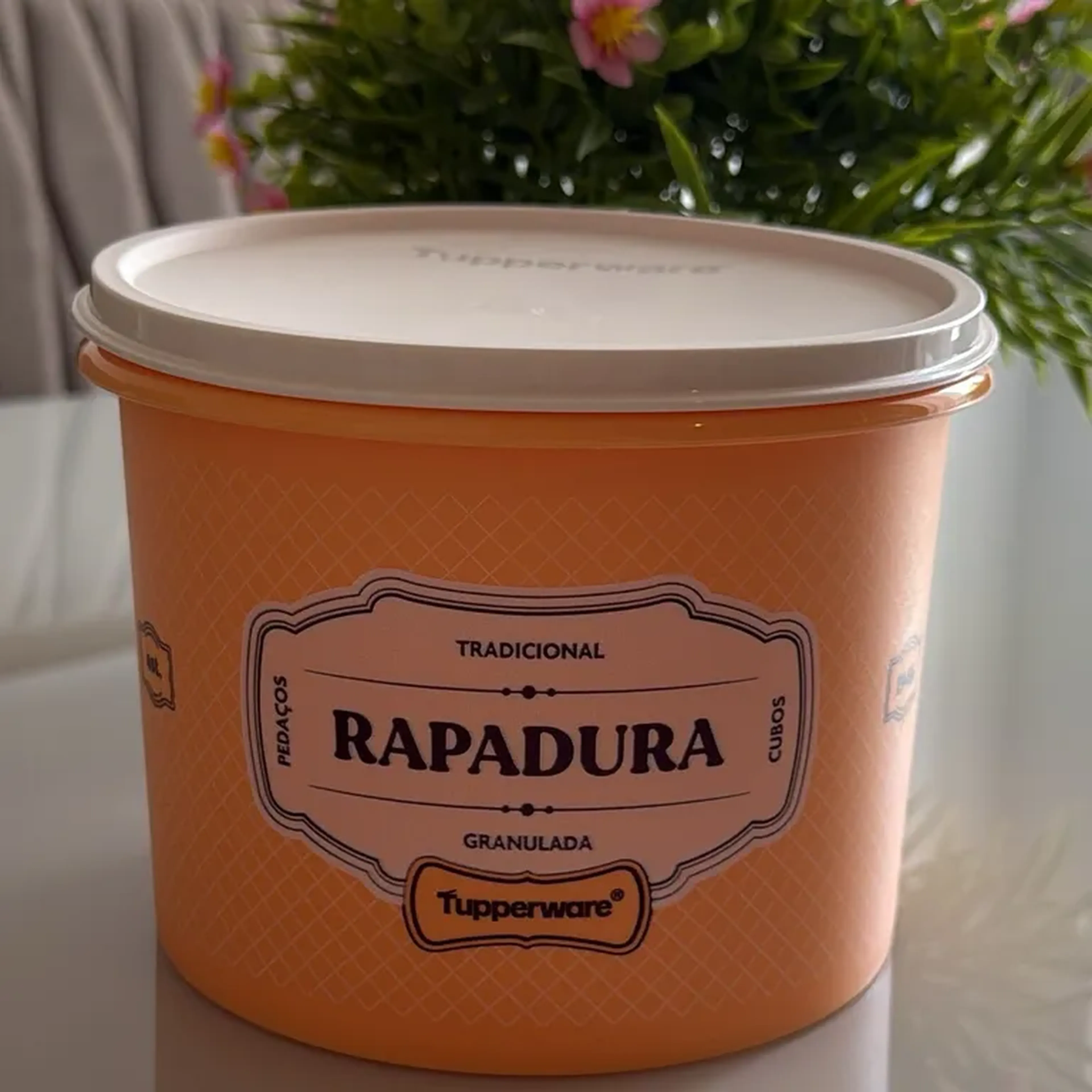 Tupper caixa de rapadura imagem