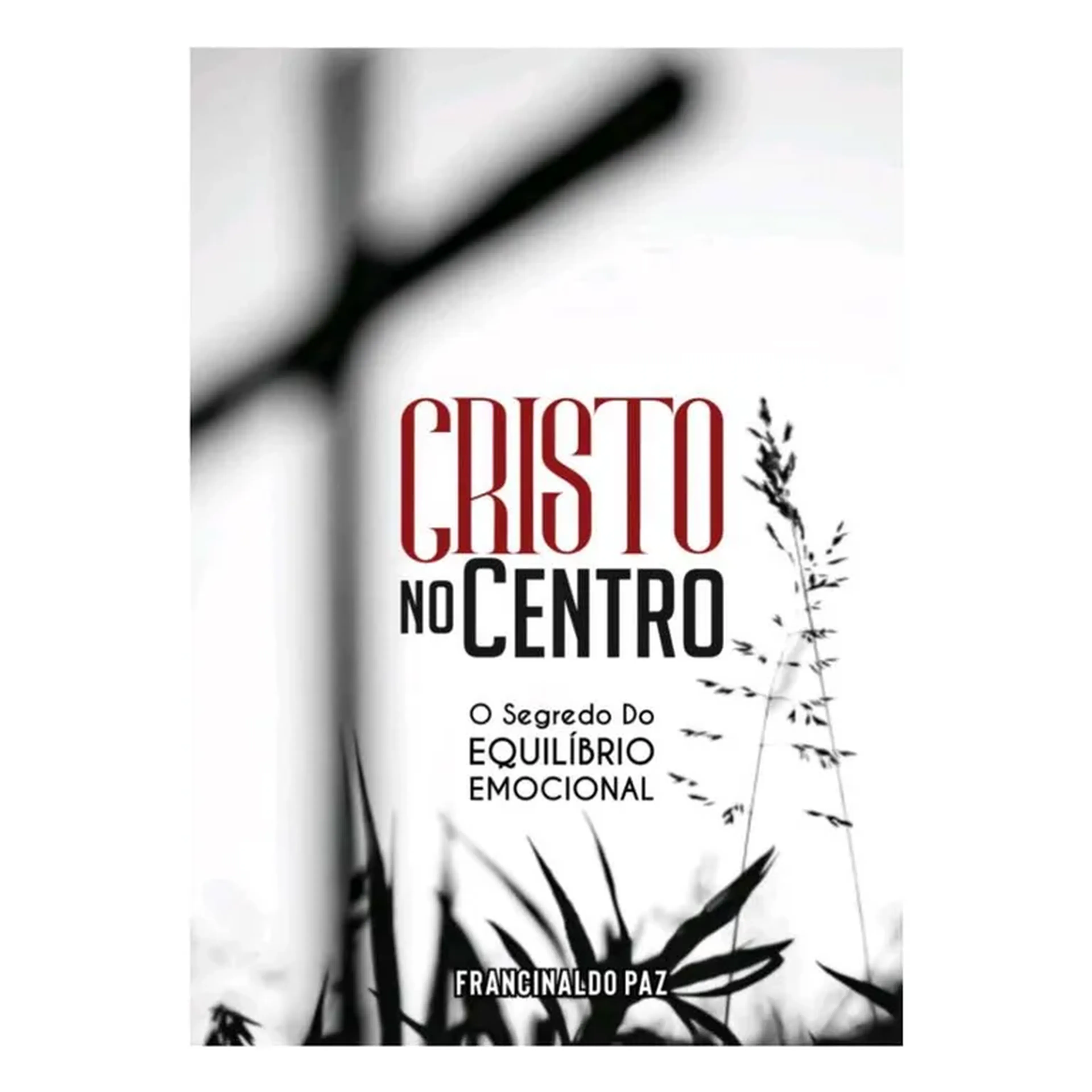 CRISTO NO CENTRO imagem