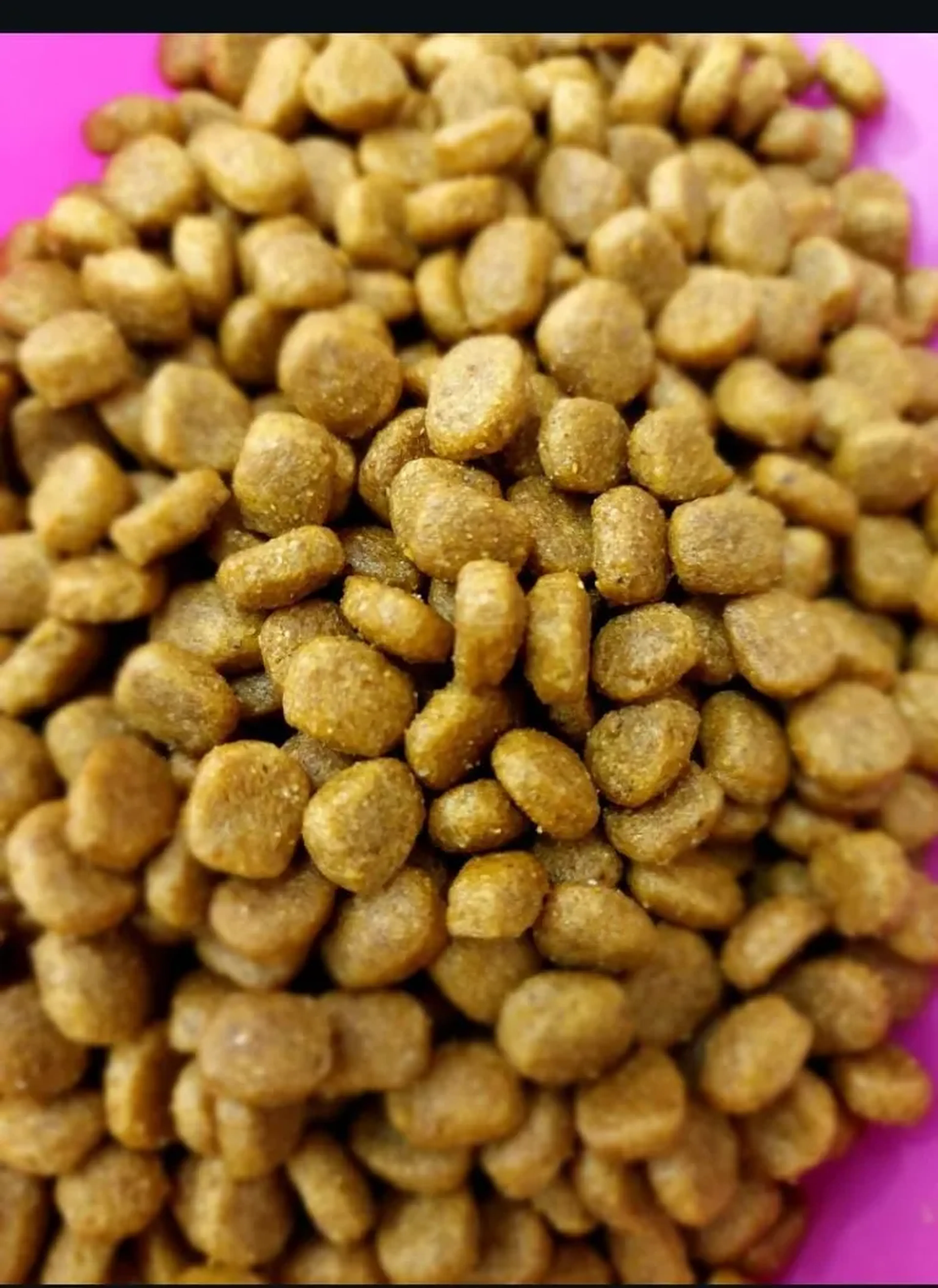 Granel Special Dog Ultralife Adulto Raças Pequenas Frango kg imagem