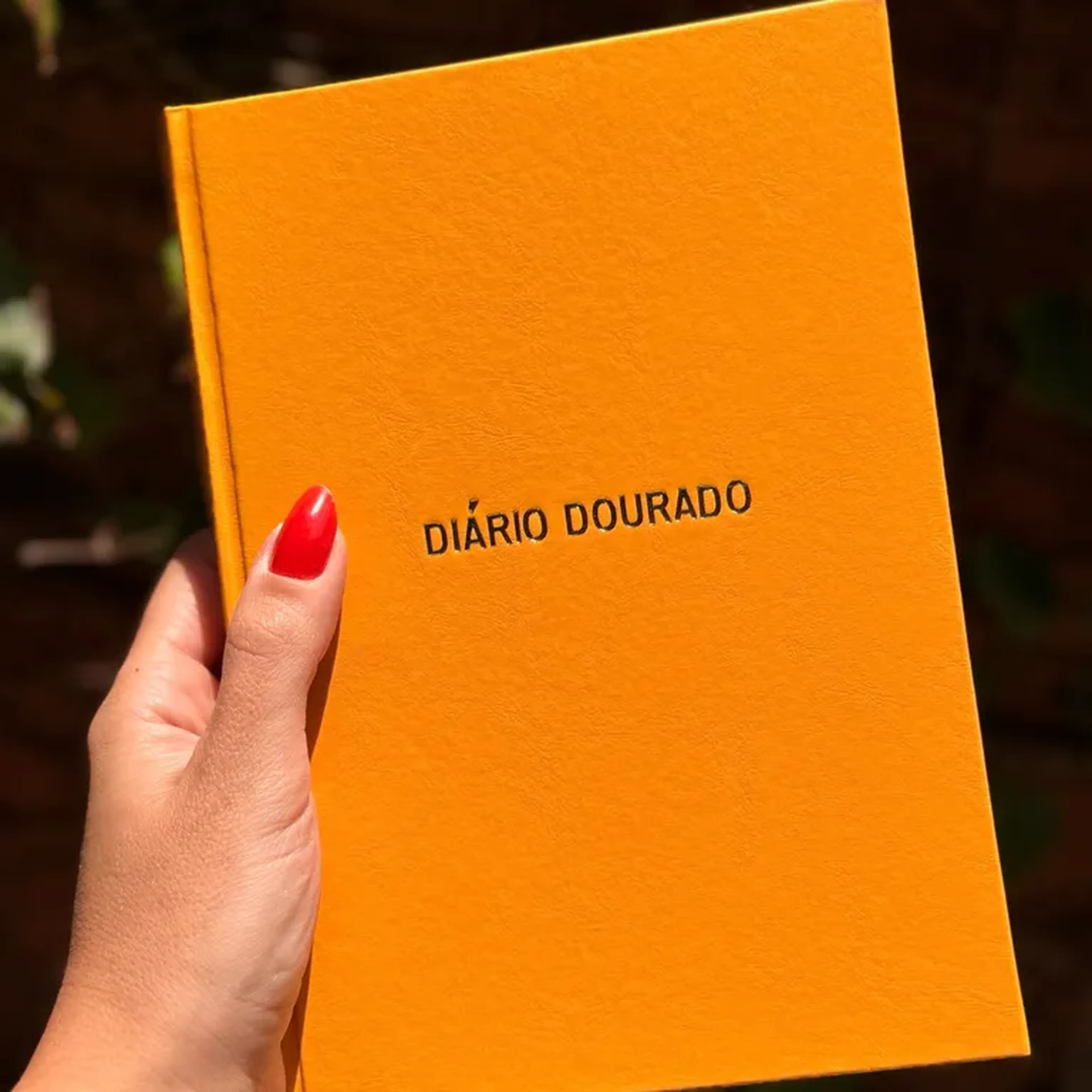 DIÁRIO DOURADO imagem