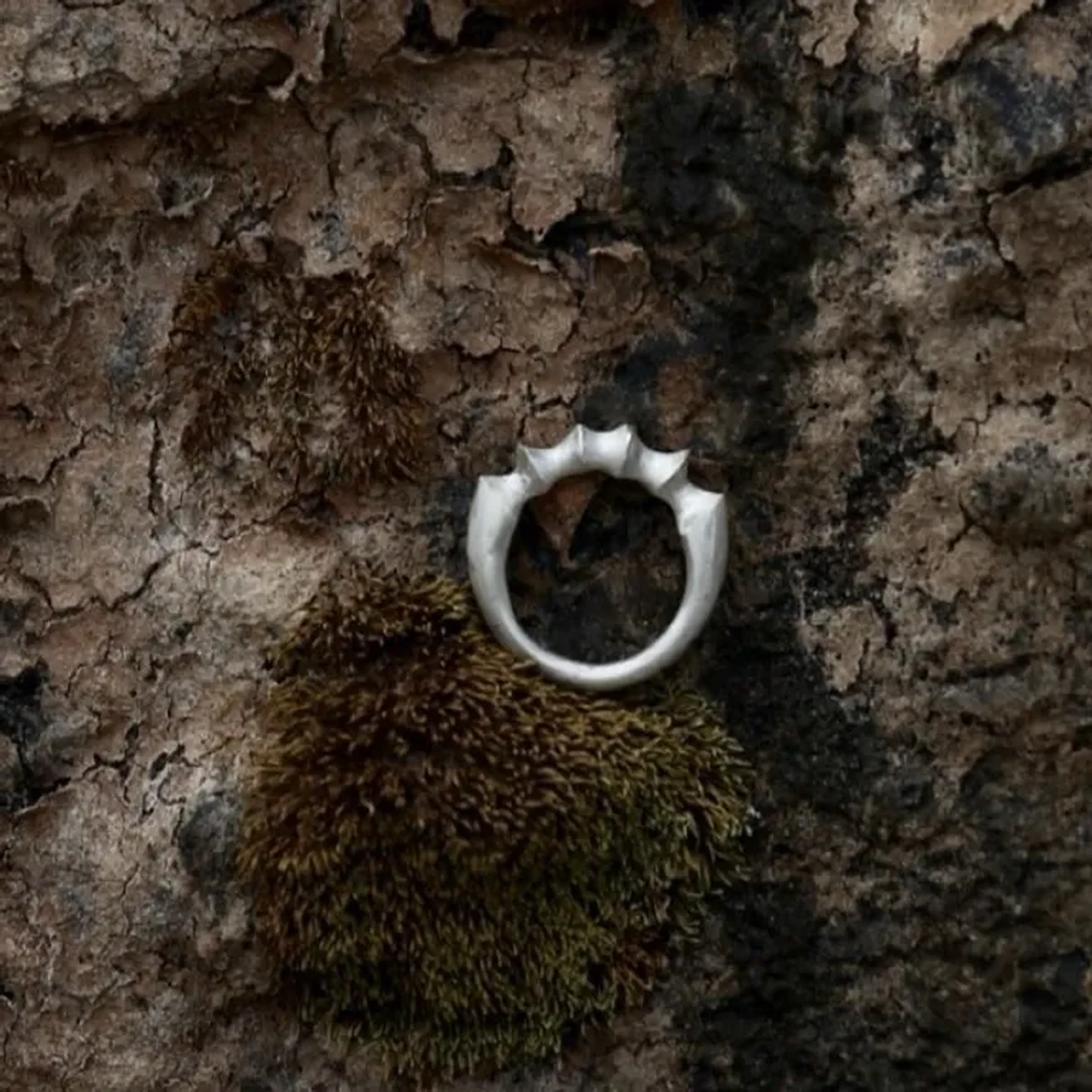 Anel Arco de Pontas - Prateado imagem