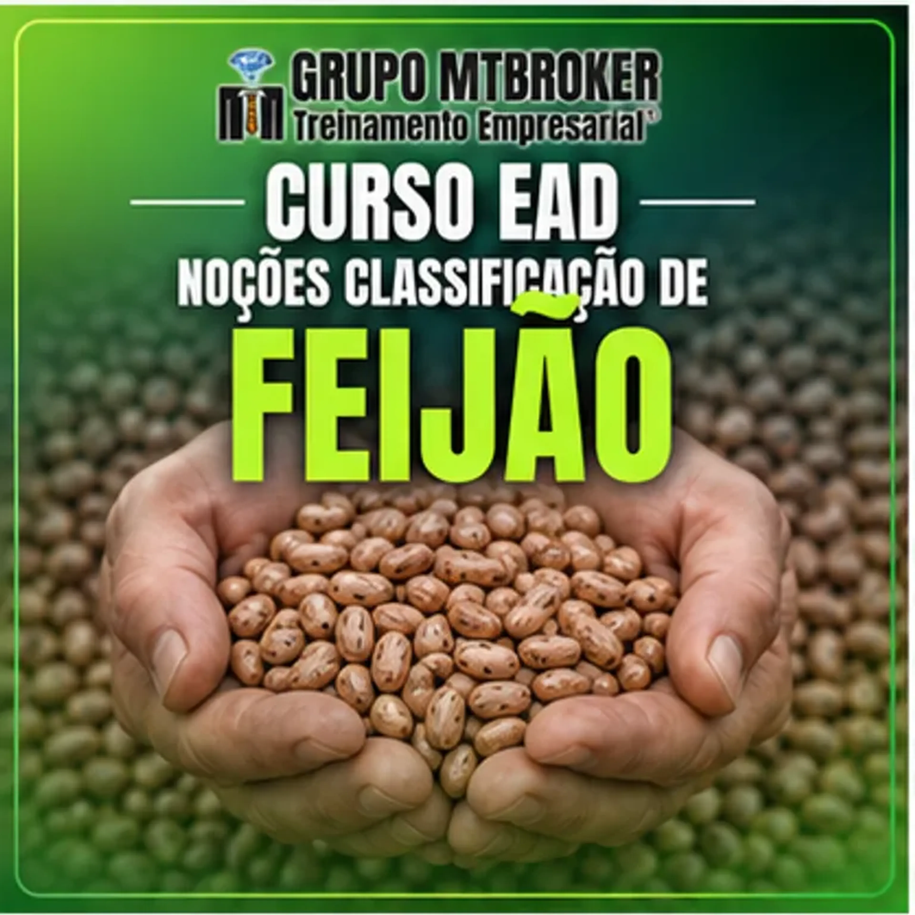 CURSO006-NOÇÕES DE CLASSIFICAÇÃO DE FEIJÃO imagem
