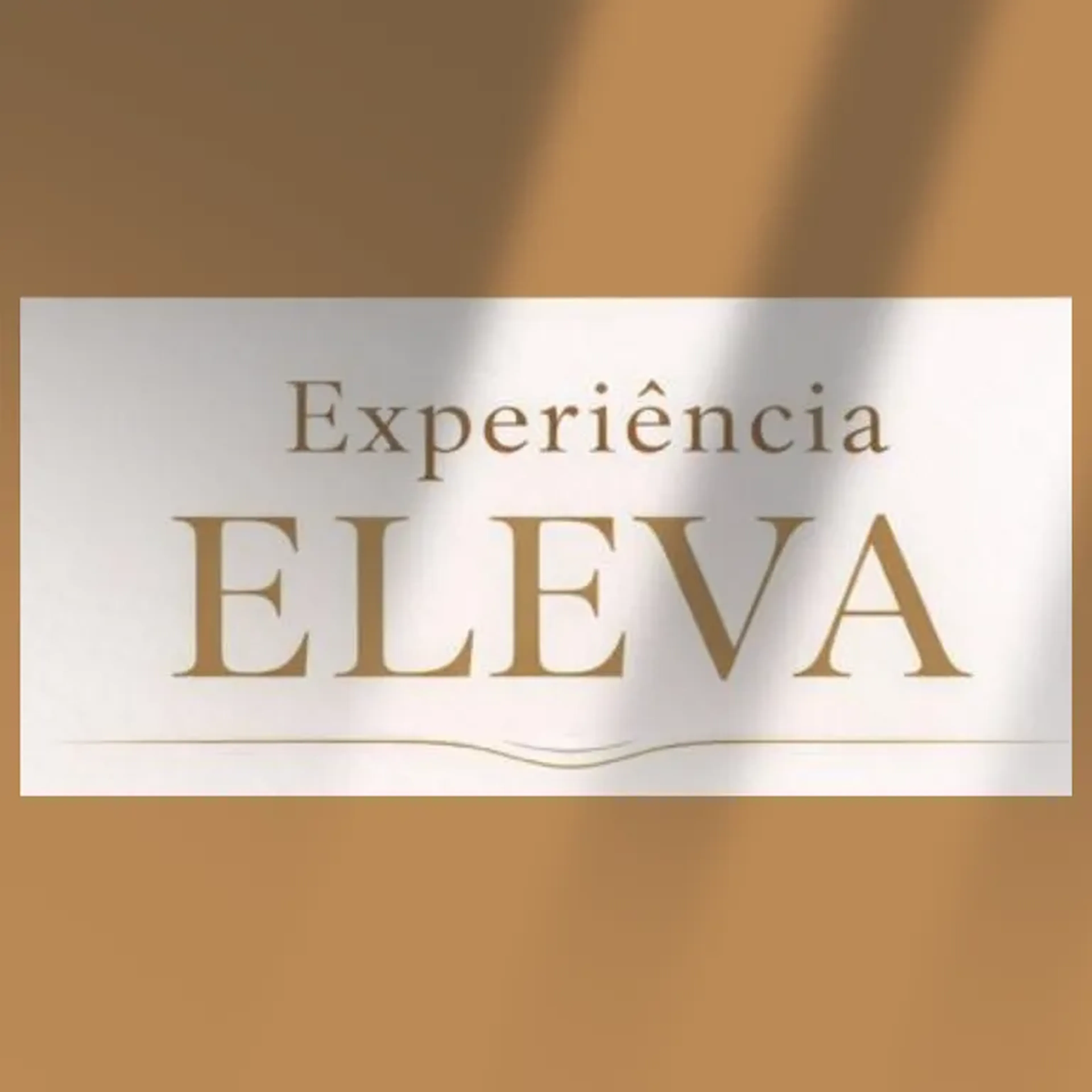 Experiência ELEVA 4a edição imagem