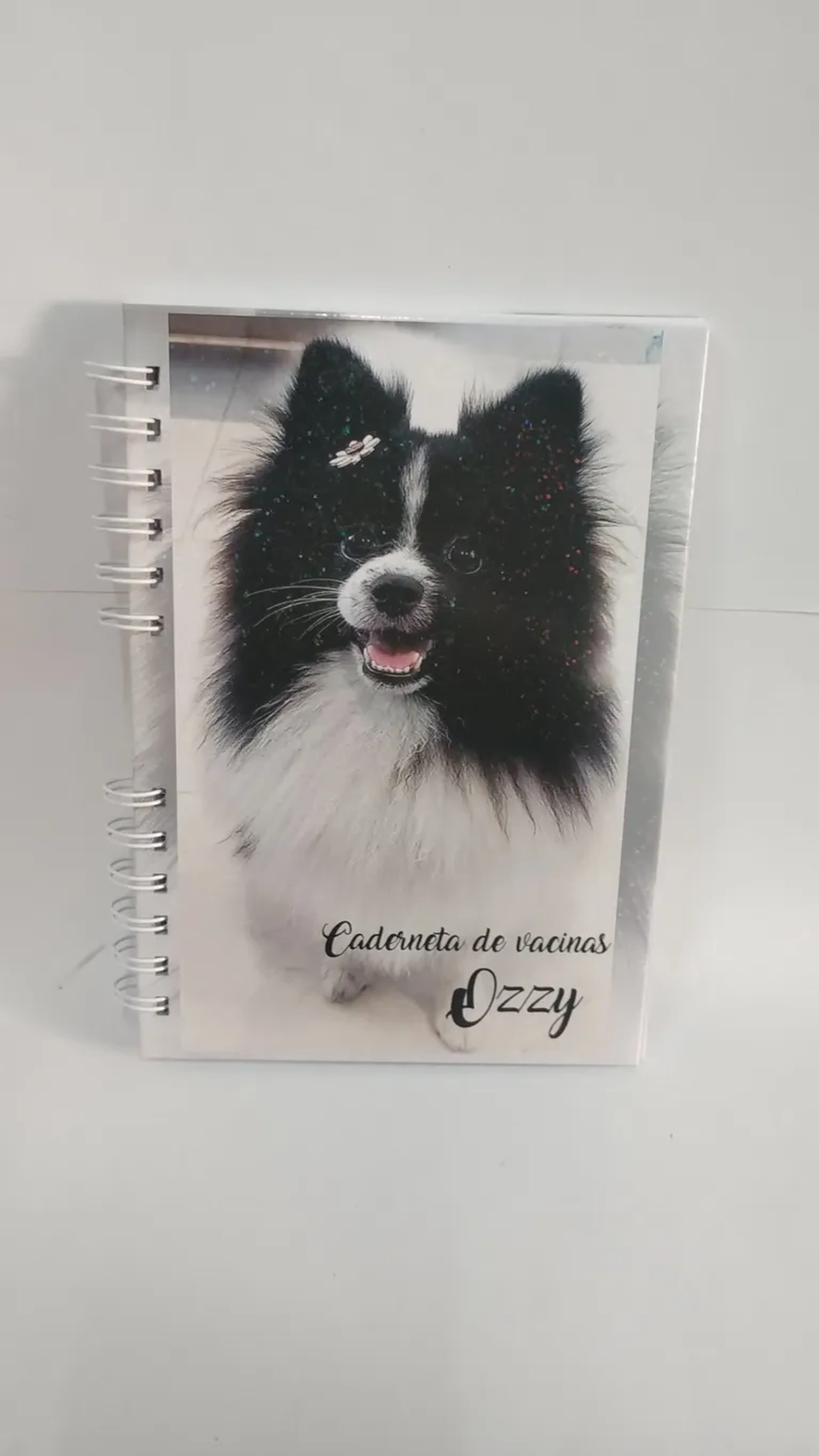 Caderneta de vacinas pet. imagem