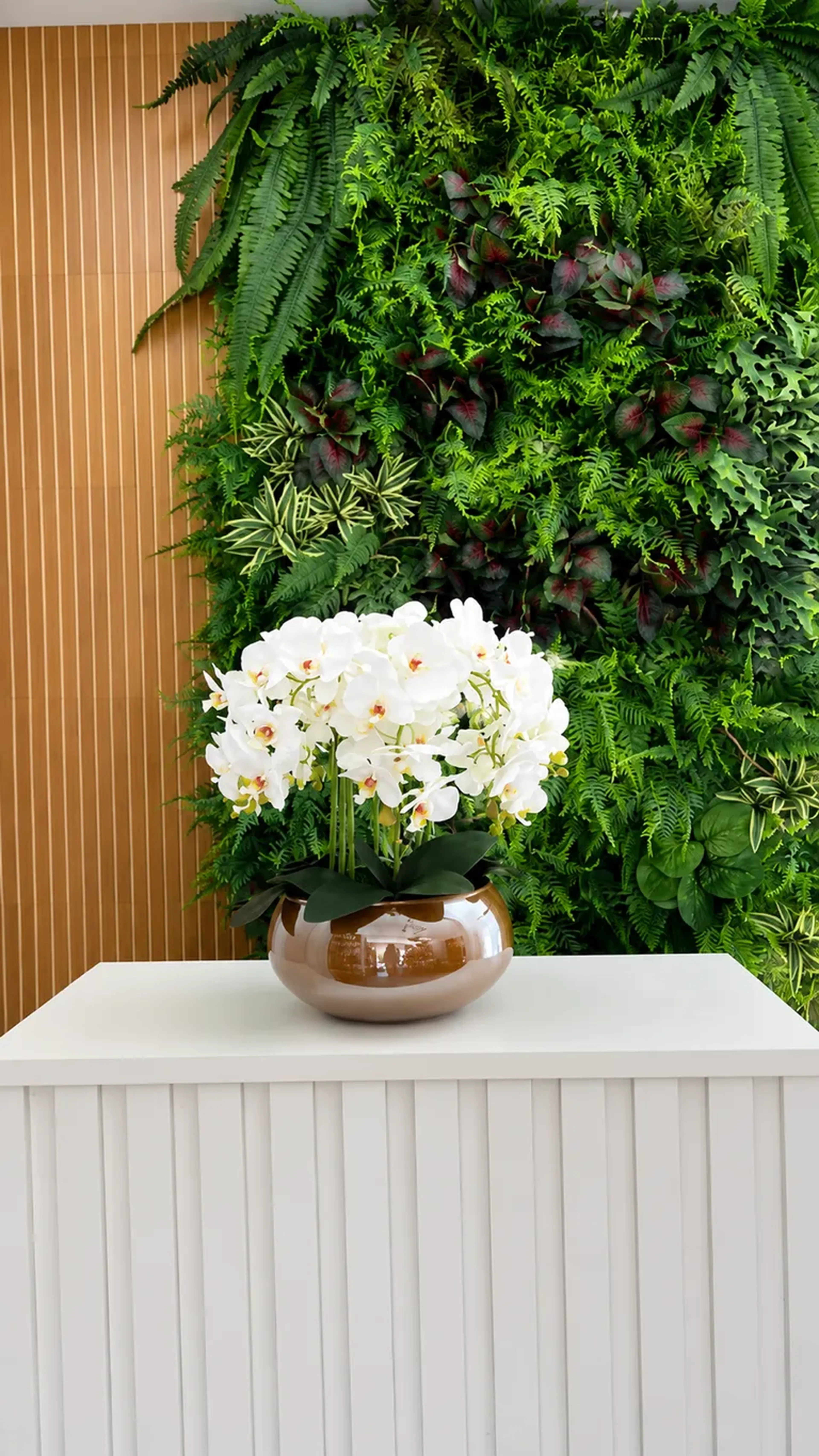 Arranjo De Orquídea G imagem