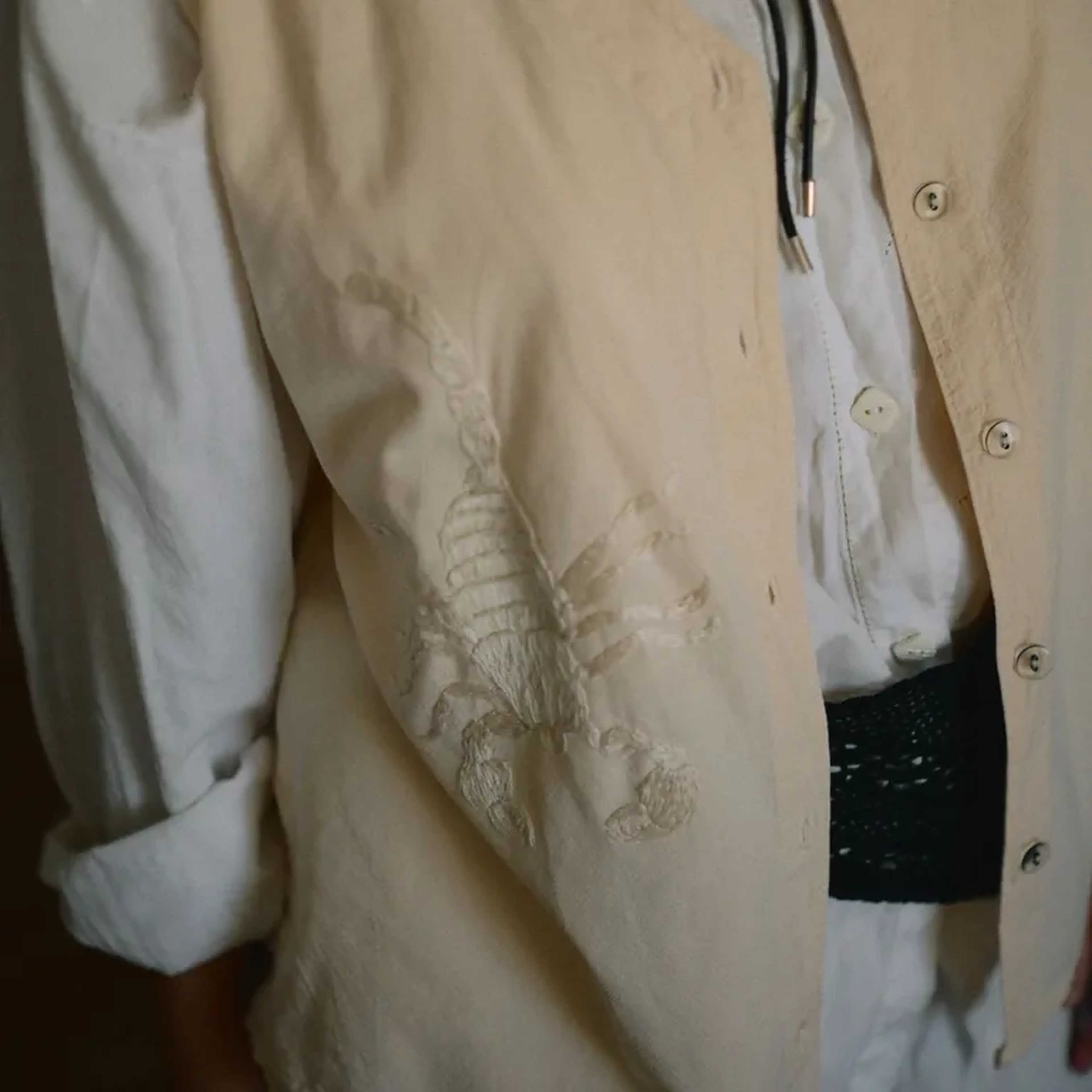 Blusa escorpião imagem