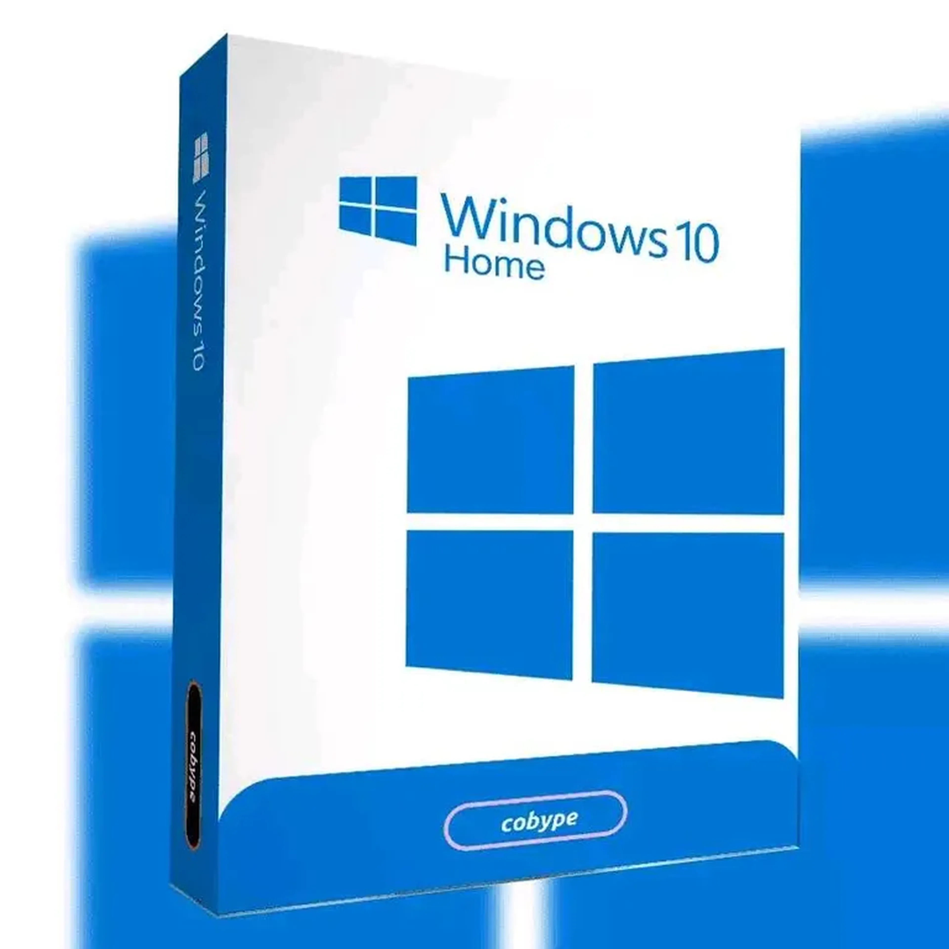 windows 10 home imagem
