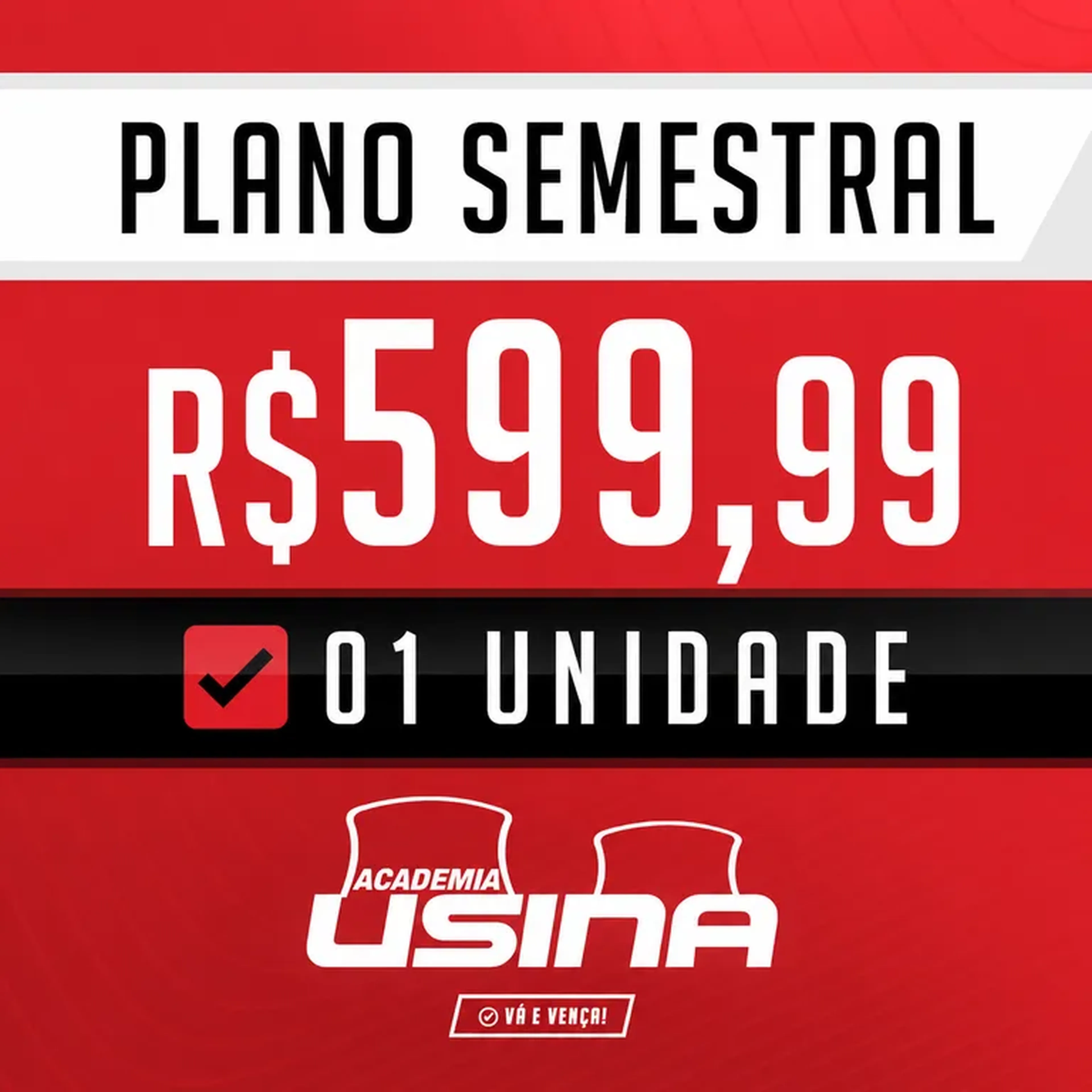 PLANO SEMESTRAL USINA imagem