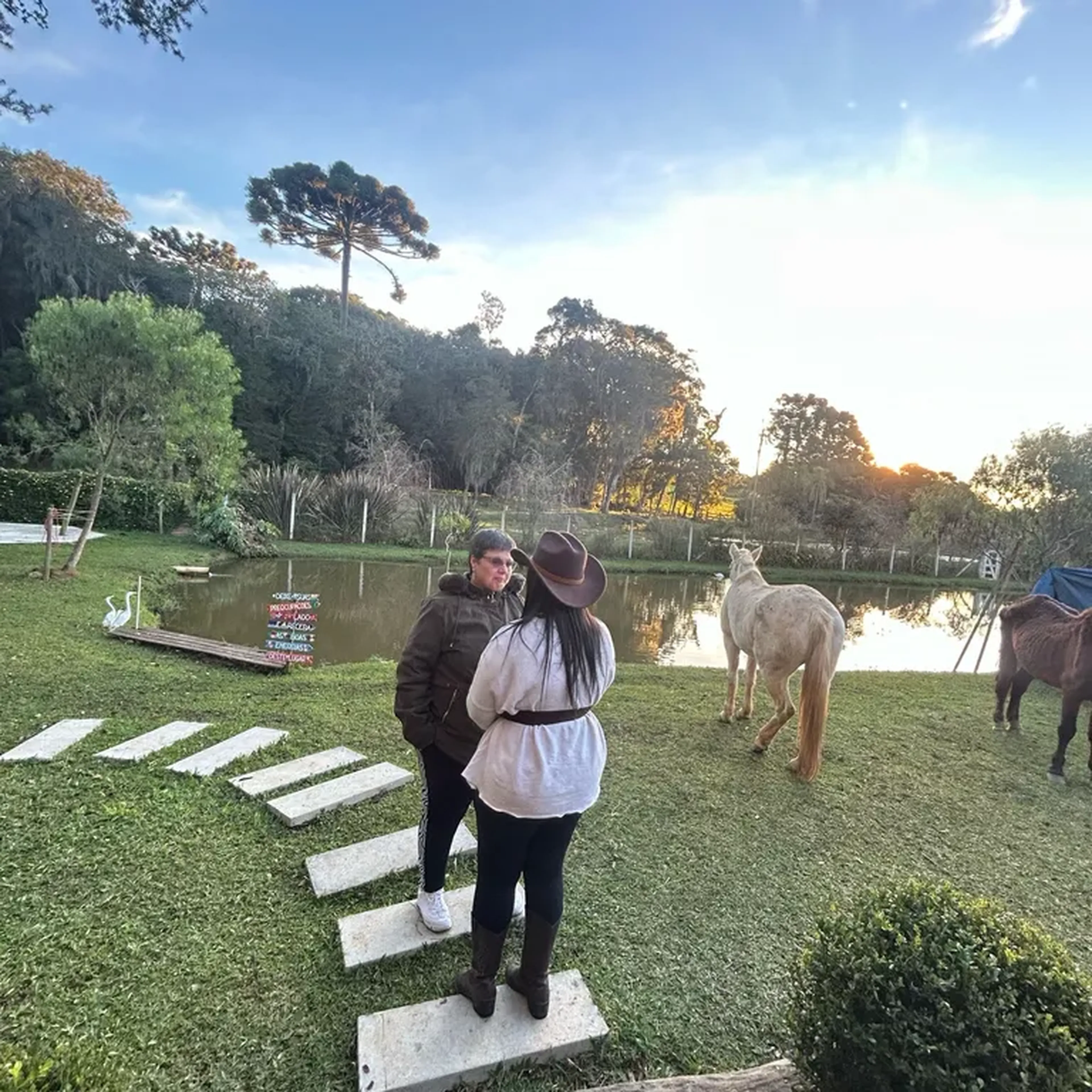 Vivência com Cavalos - Para Participantes imagem