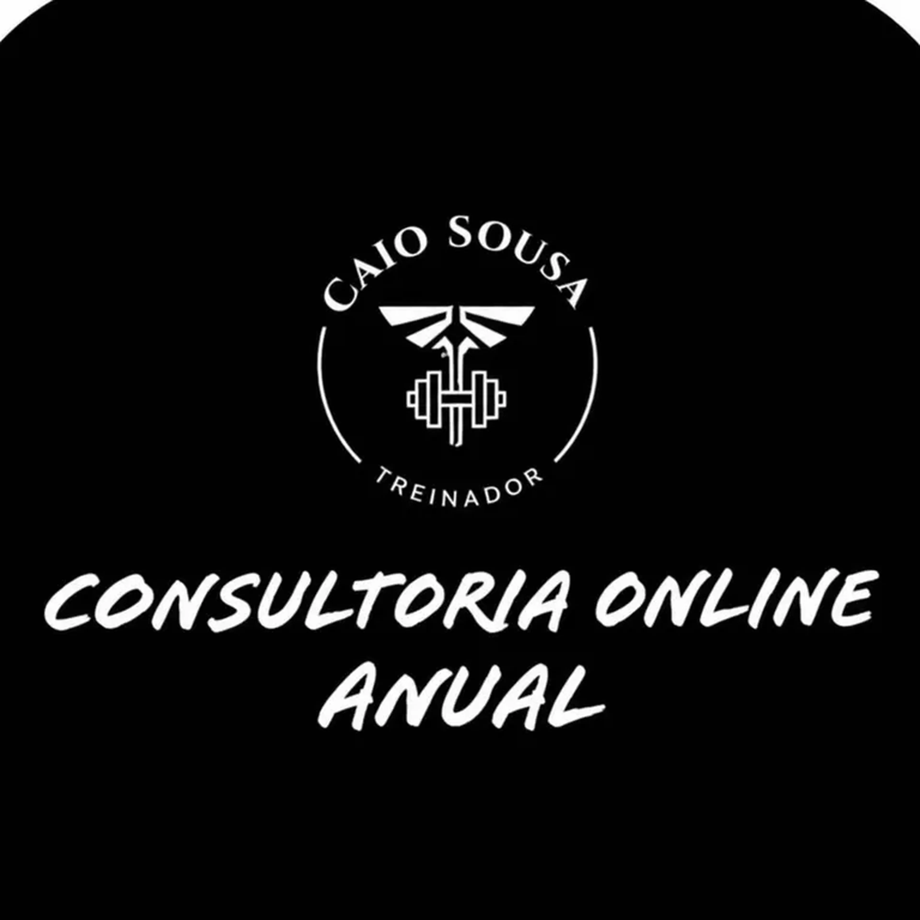 Consultoria online (anual) imagem