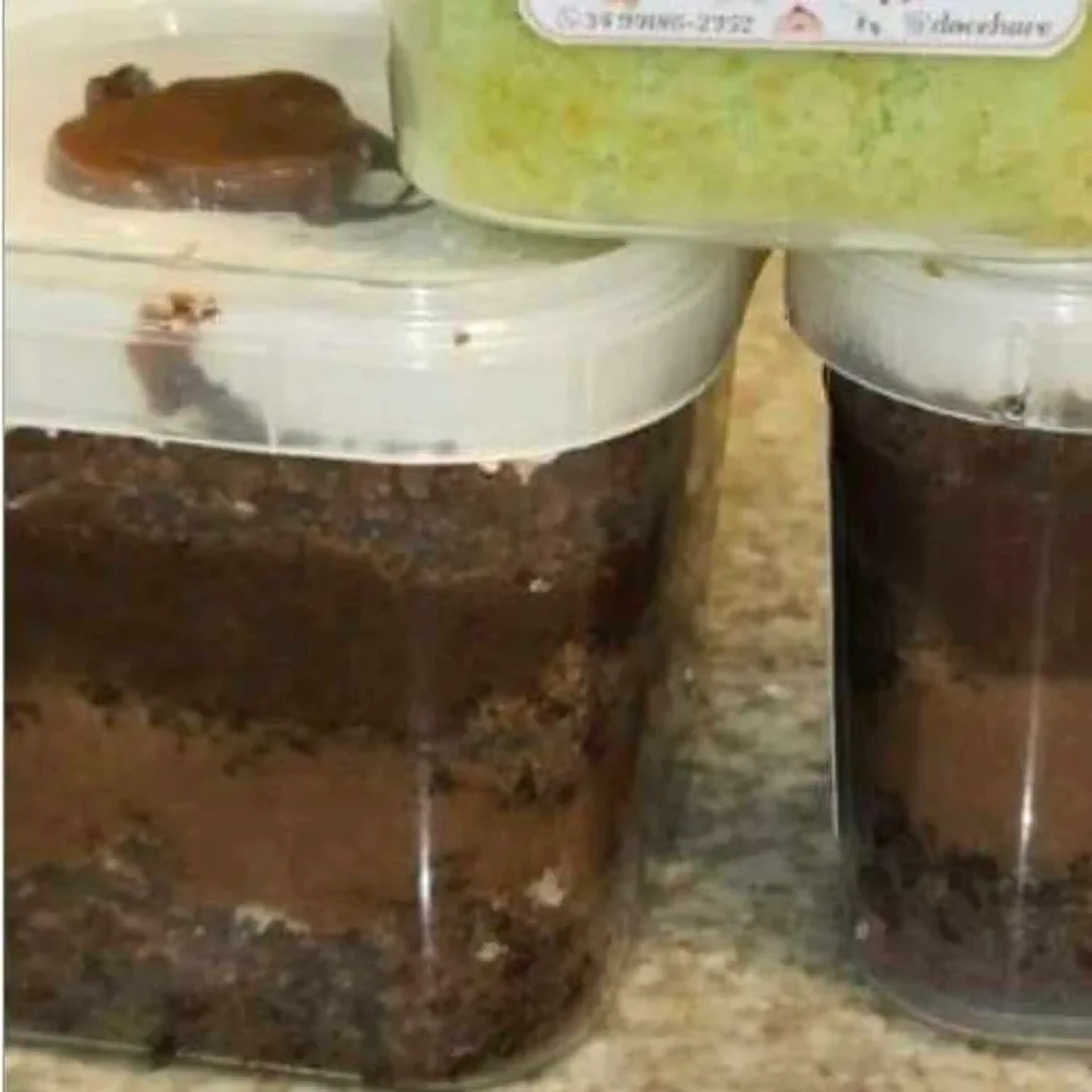 Chocolatudo imagem