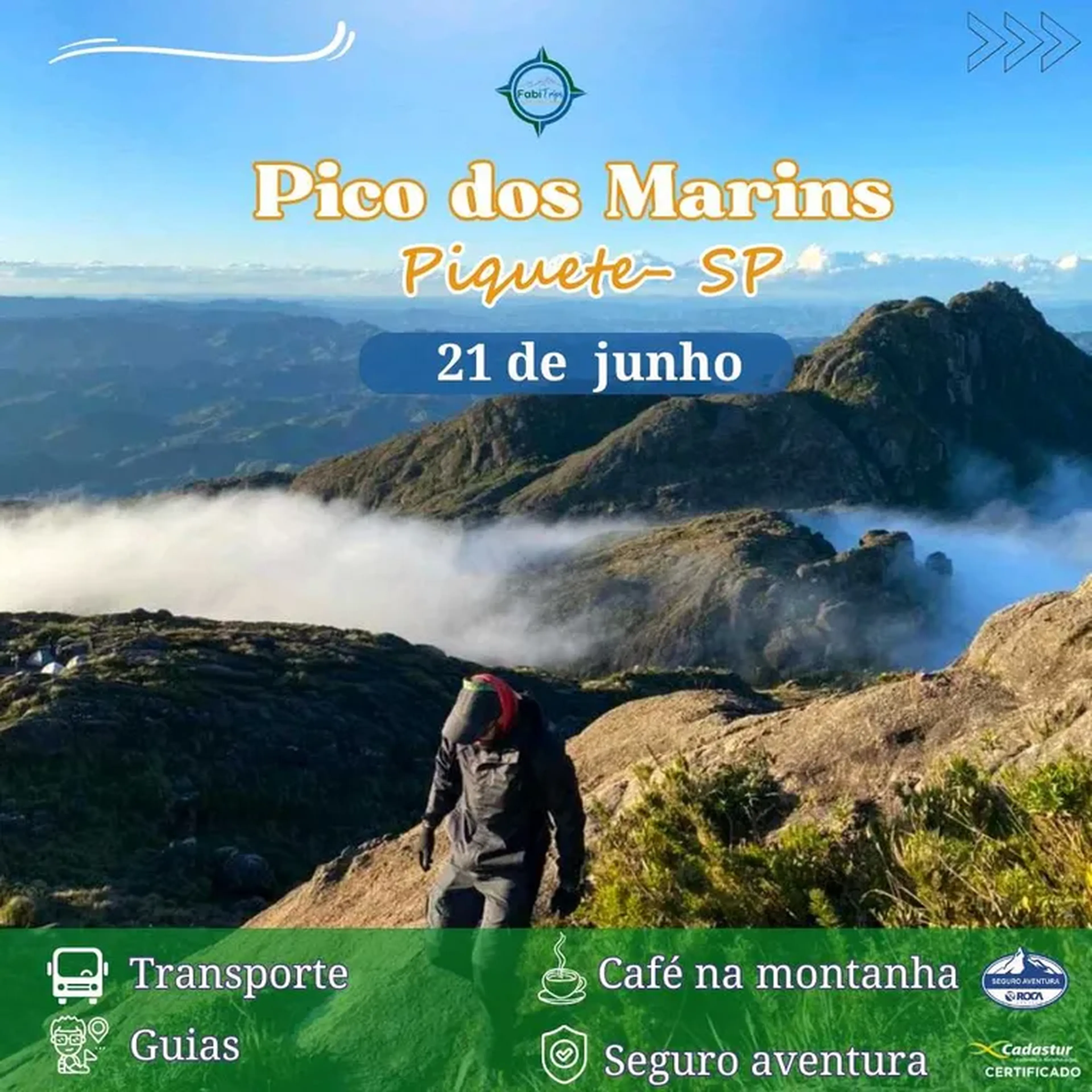 pico marins imagem
