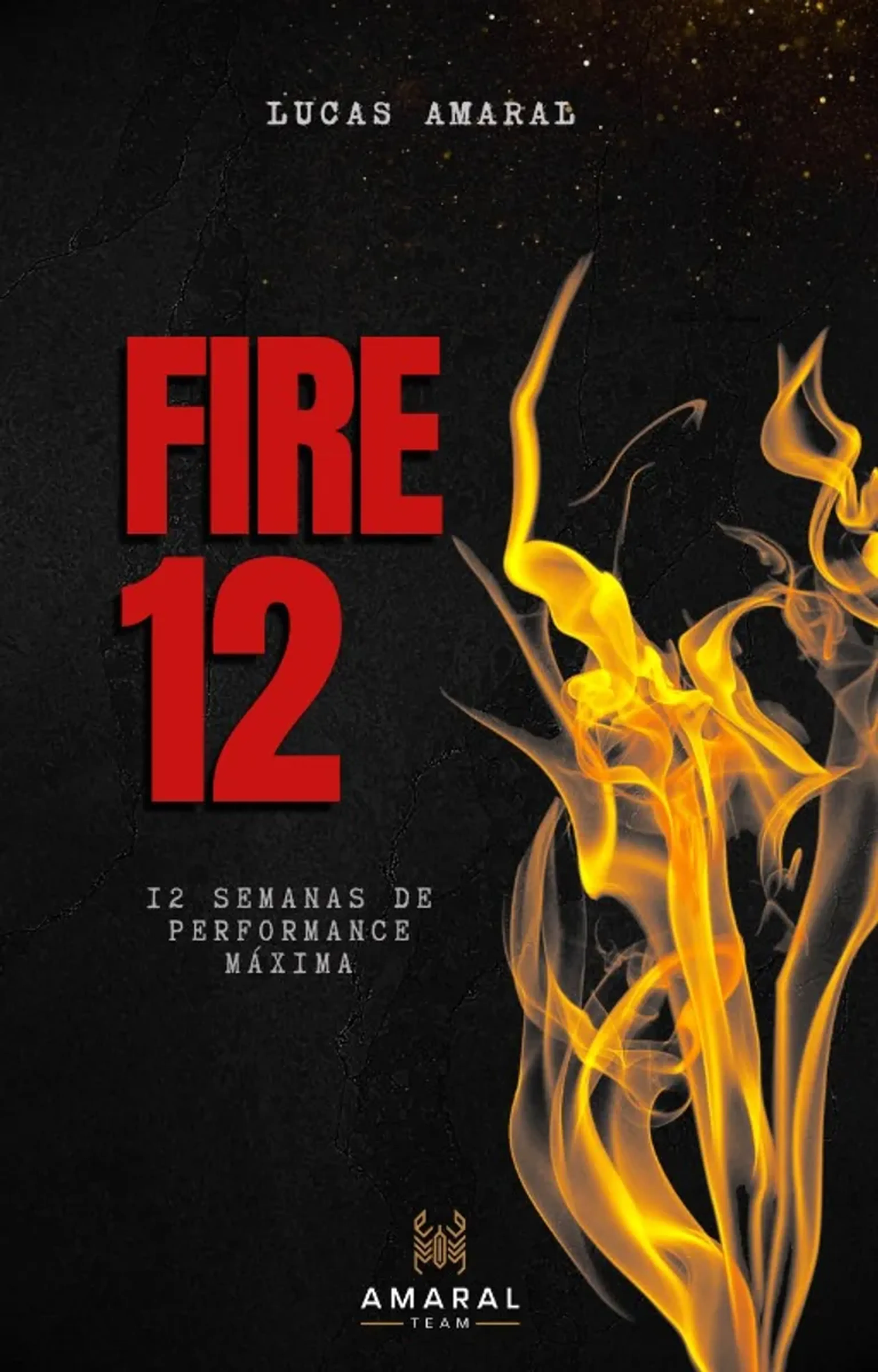 FIRE12 12 semanas de performance máxima imagem