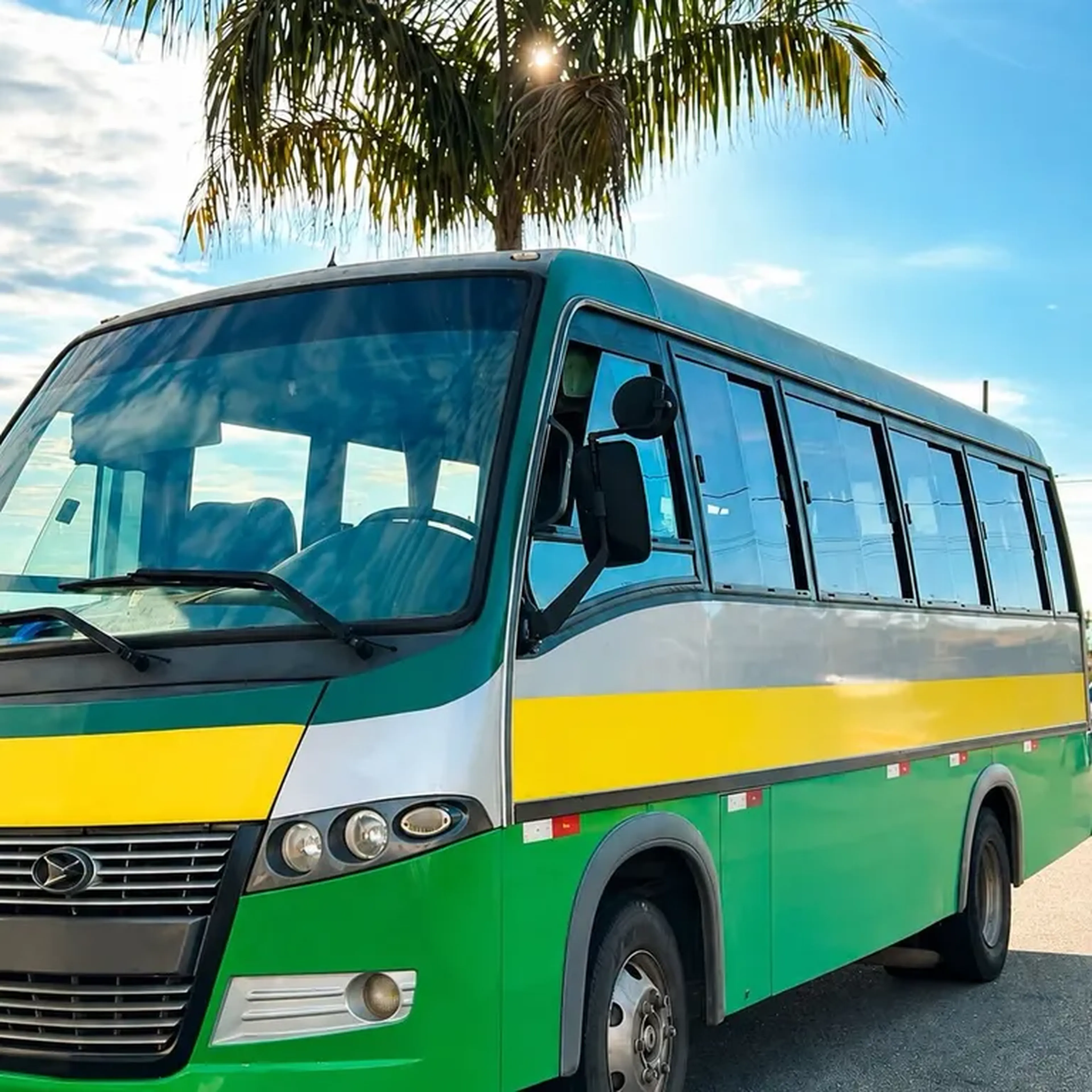 Reprova Onibus - categoria D imagem