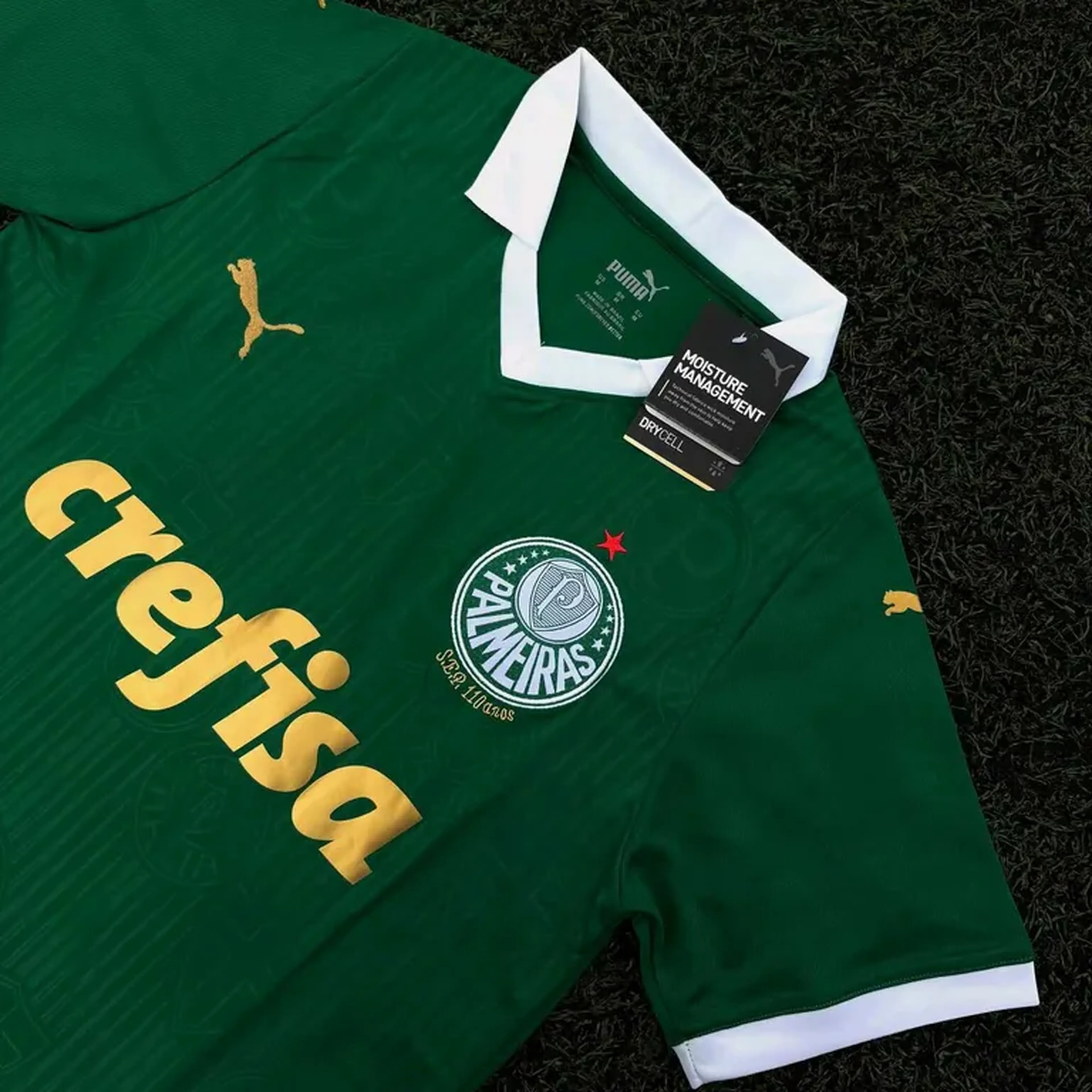 Camisa Palmeiras 24 🐷 imagem