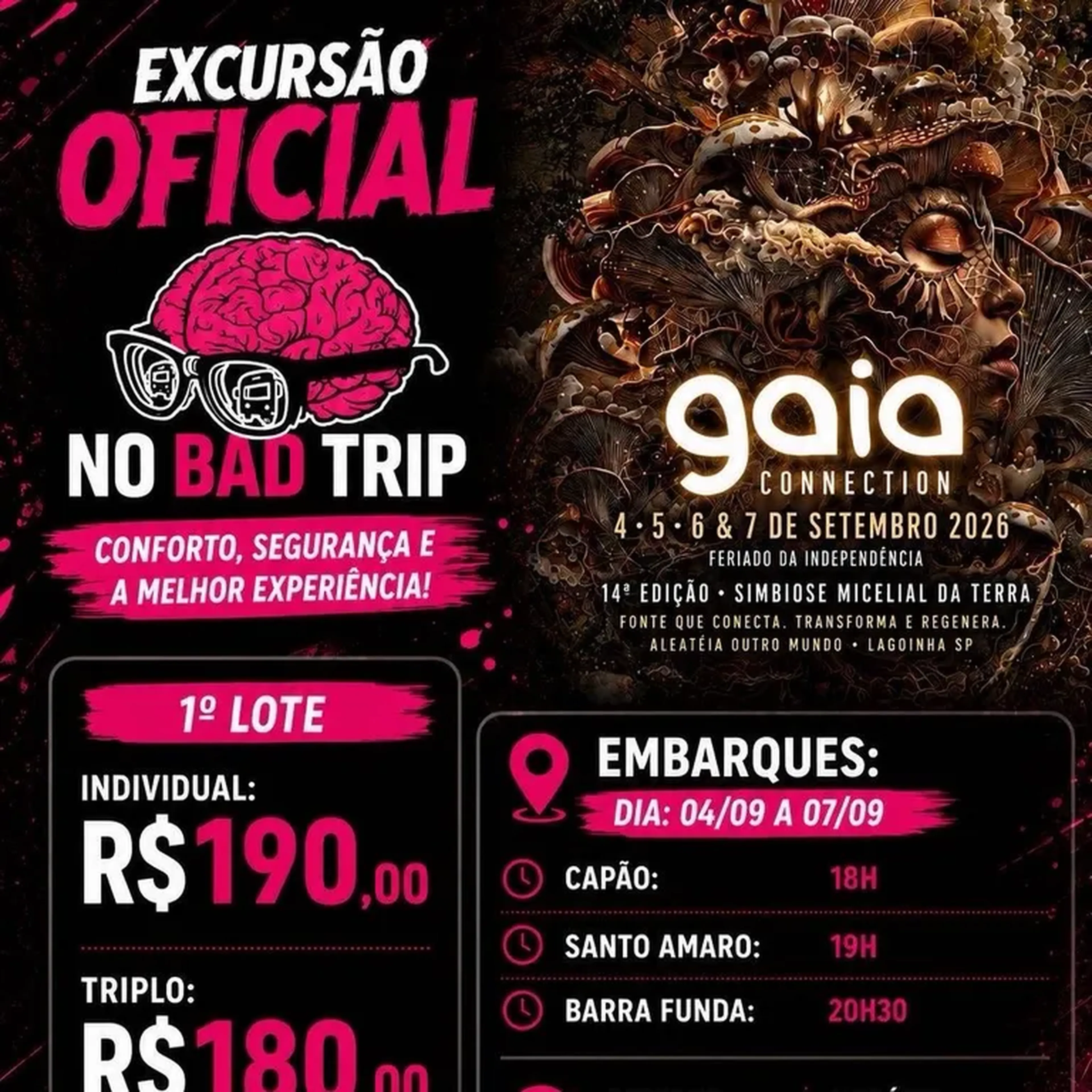 INGRESSO E EXCURSÃO GAIA imagem