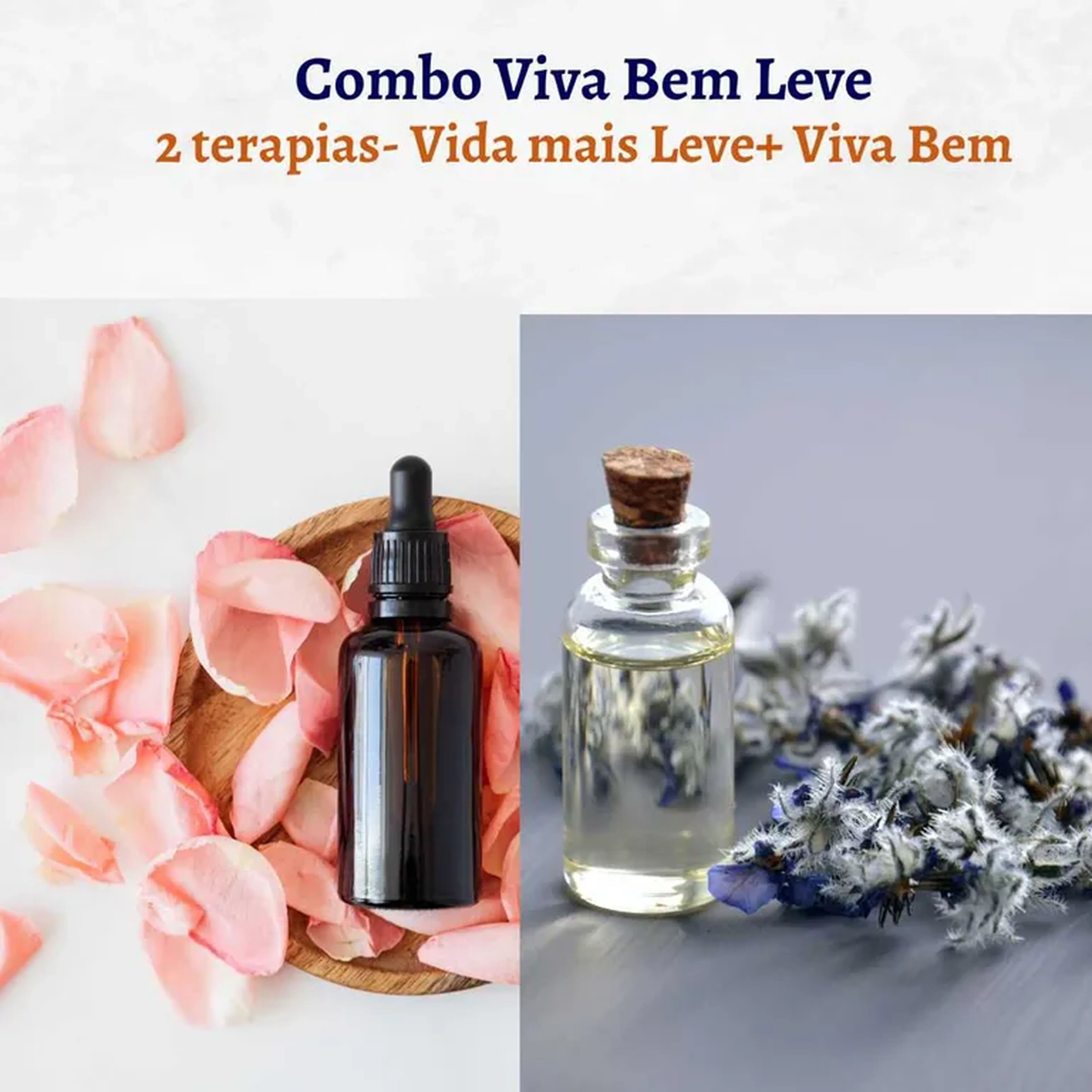 Combo Viva Bem Leve On line imagem