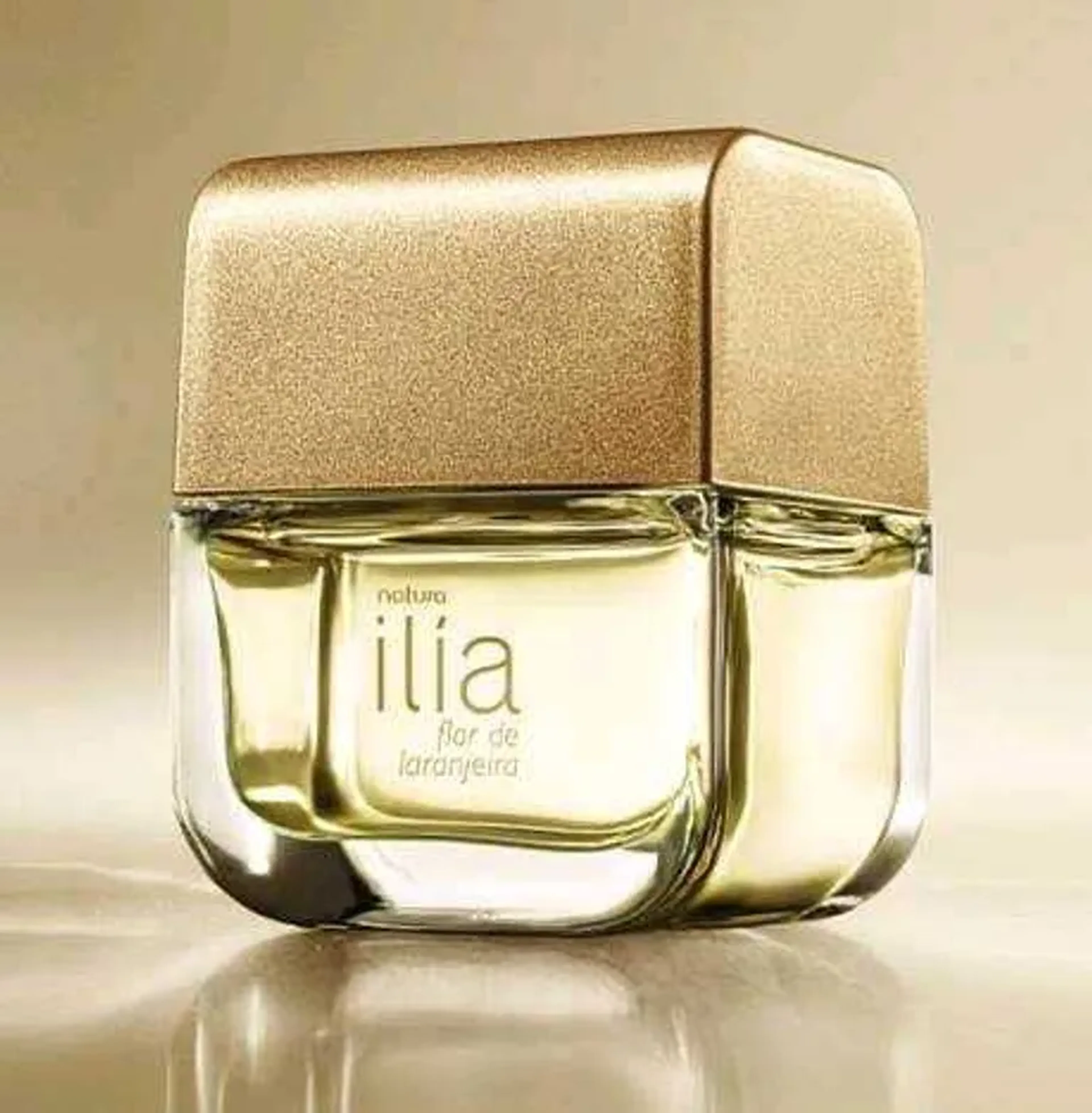 Ília Flor de Laranjeira imagem