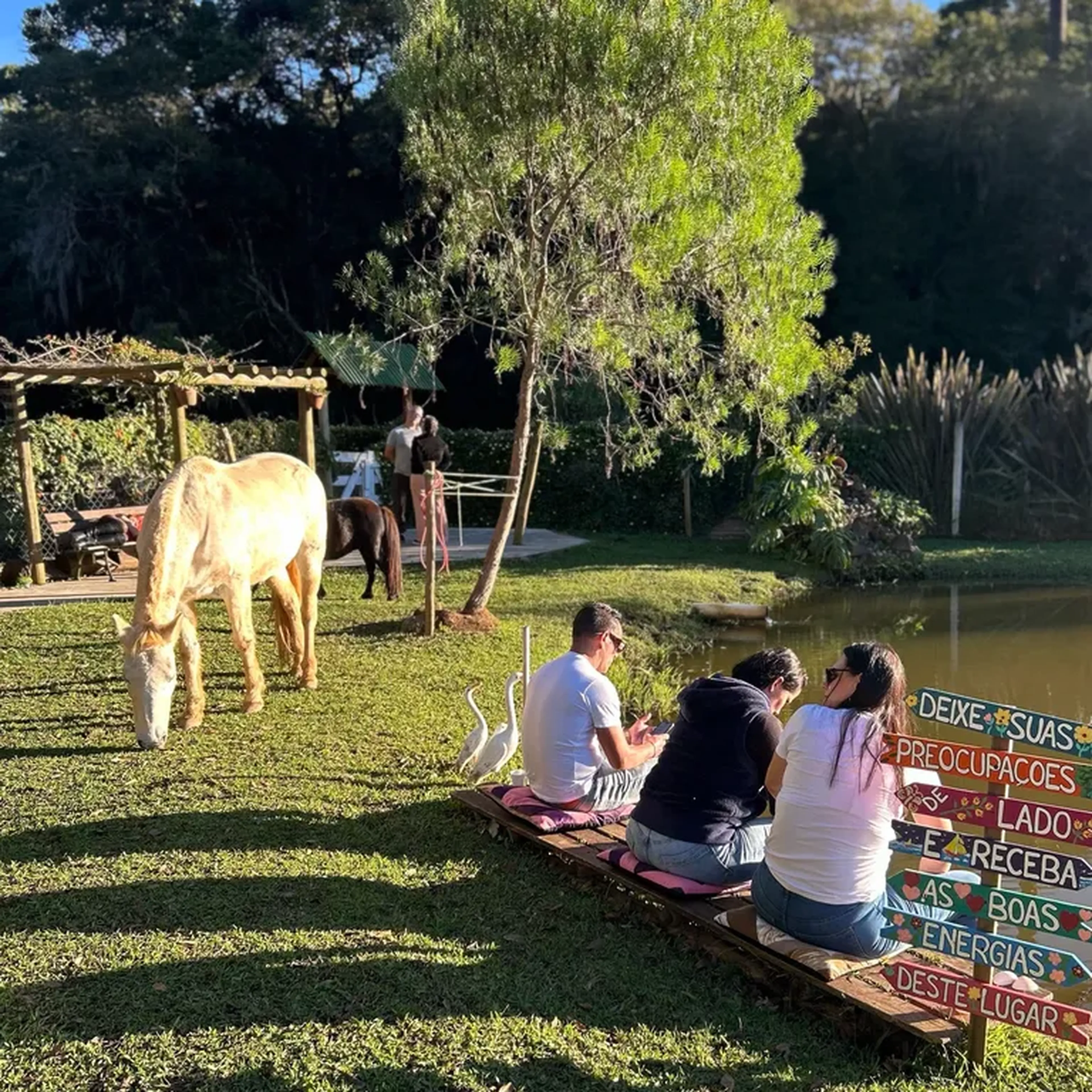 vivência com Cavalos para Mentorados imagem