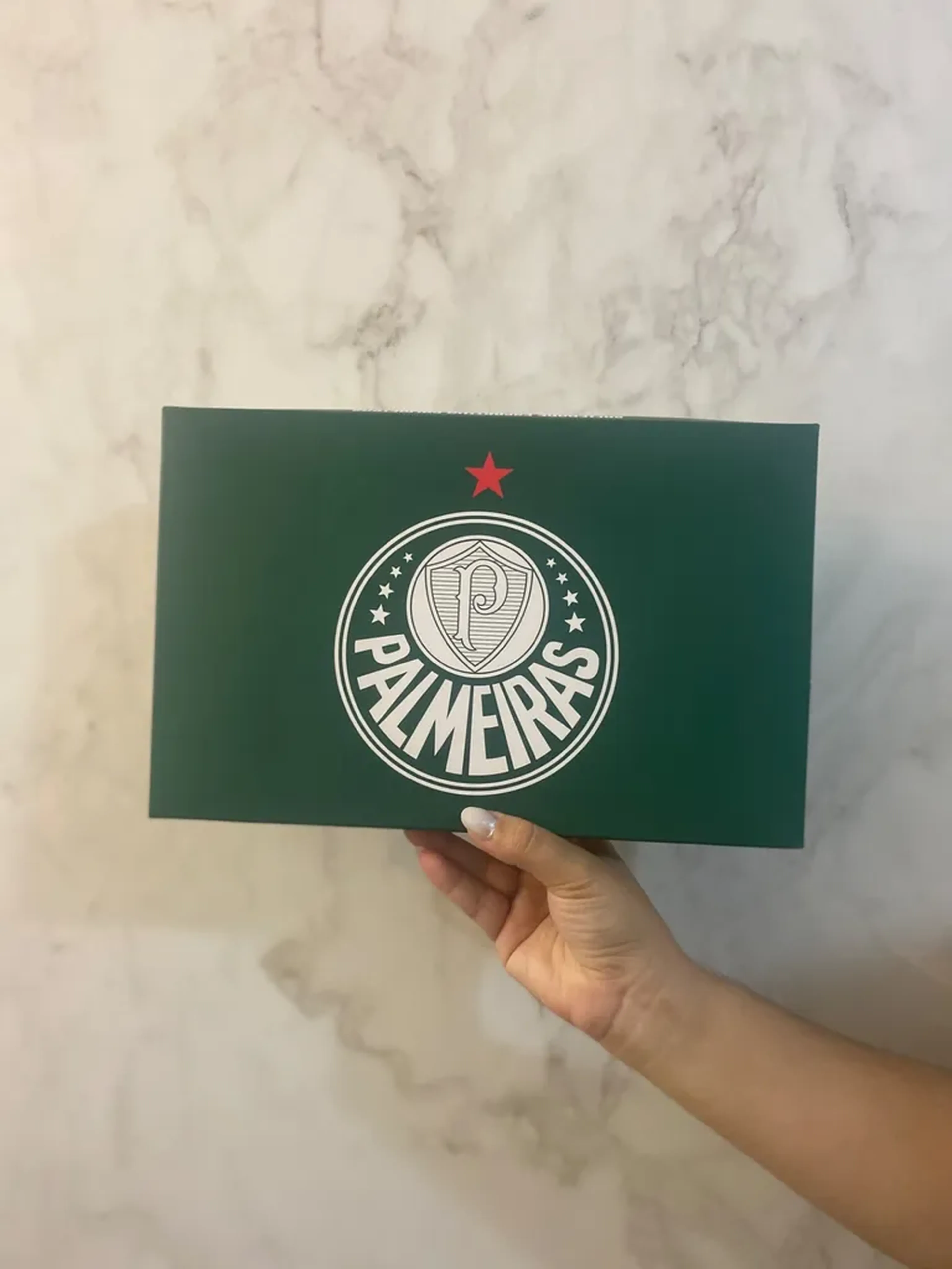 Caixinha de Presente Palmeiras imagem