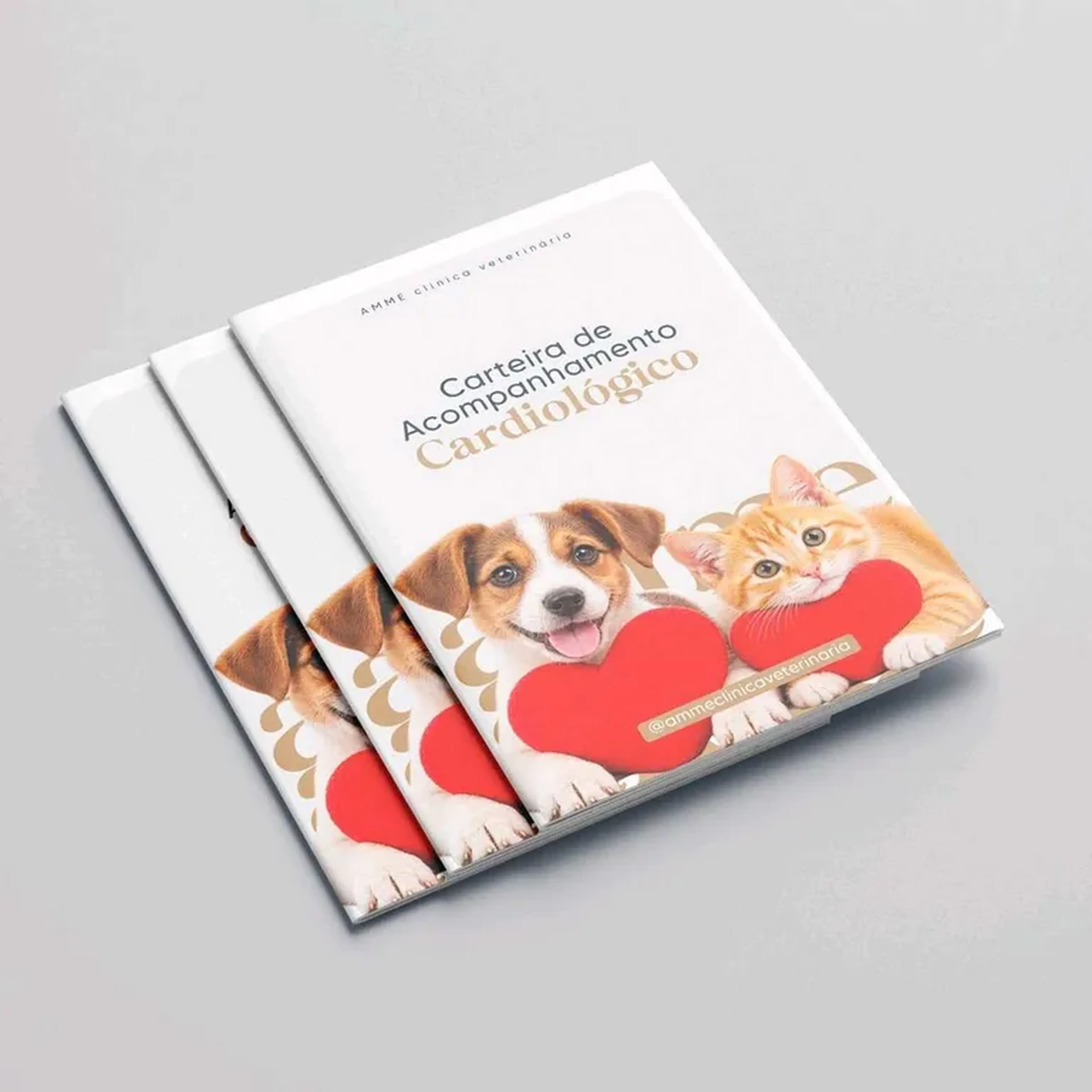 Carteira de Acompanhamento Cardiológico imagem