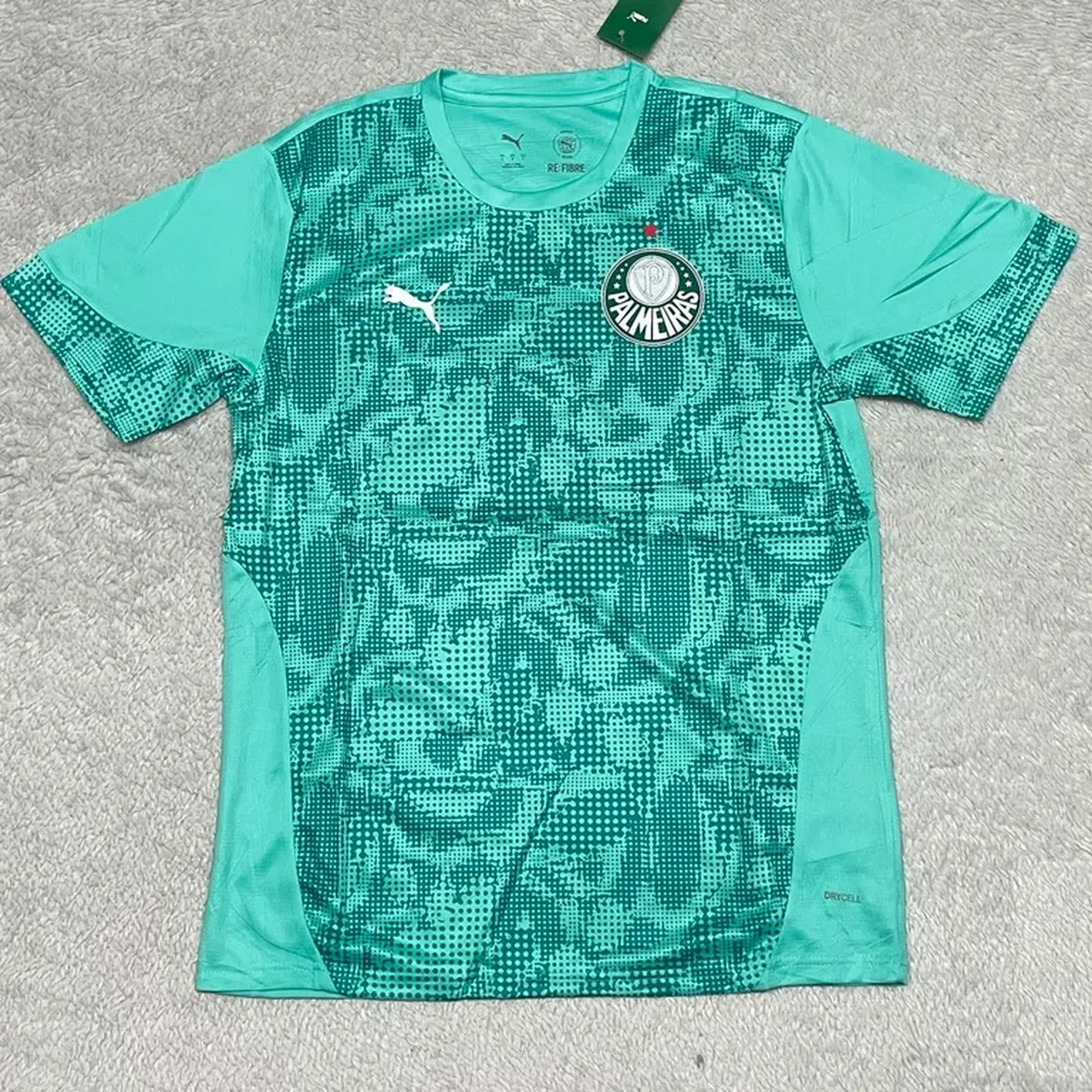 Palmeiras goleiro verde 2026 imagem