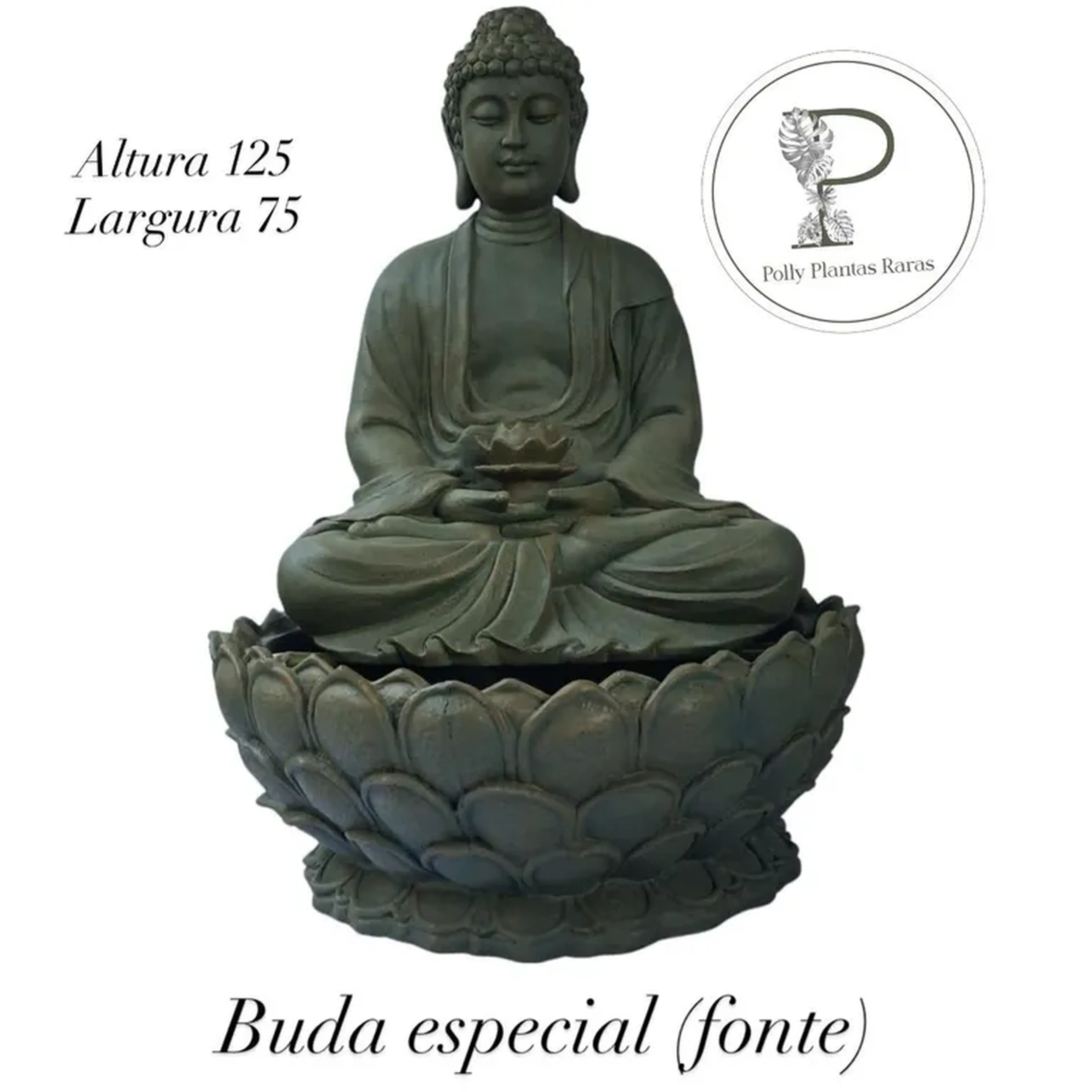 Fonte de Buda Especial imagem
