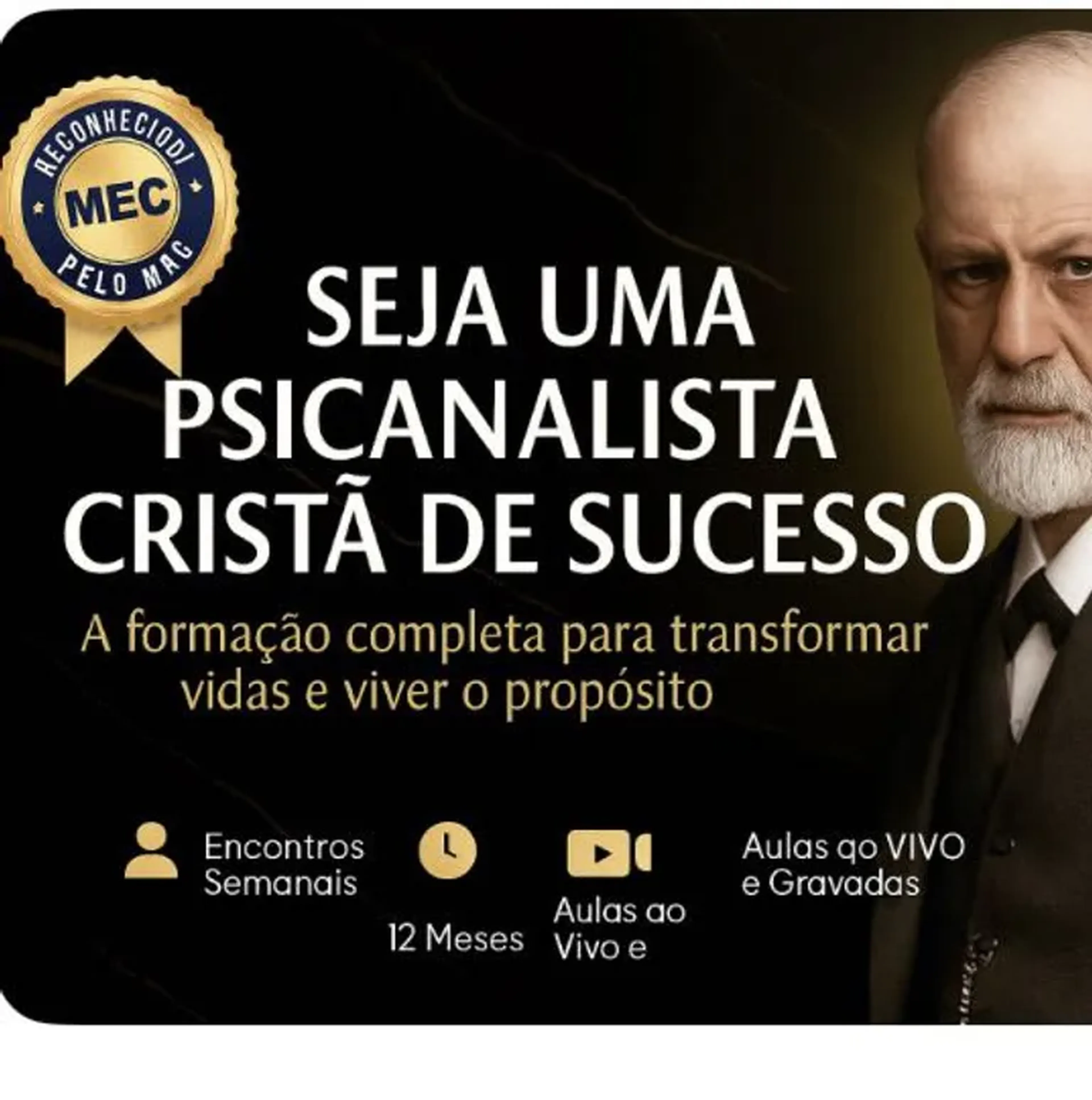 Cartão 12 X 104,00 uma Psicanalista Cristã de Sucesso imagem