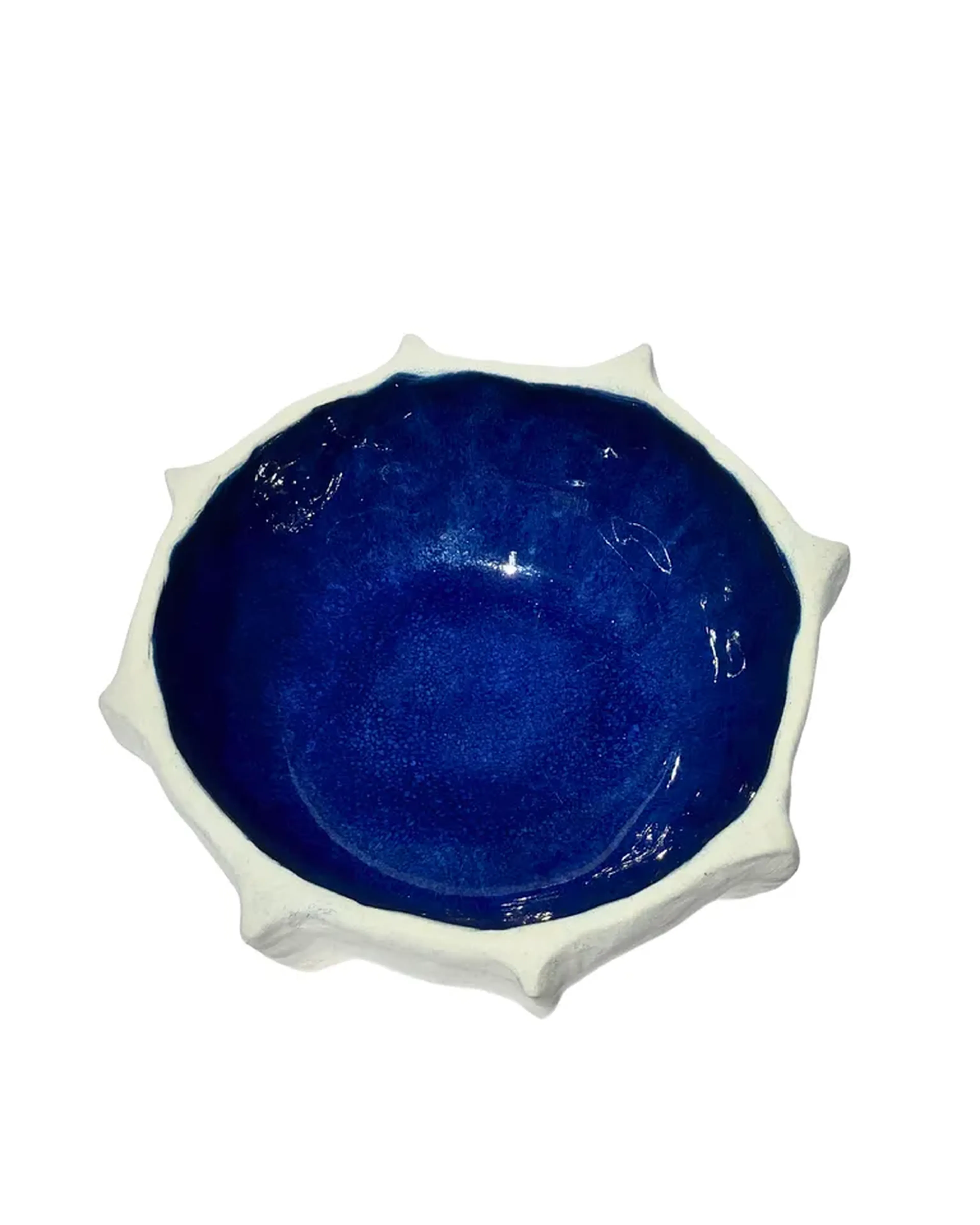 Dupla de Bowls Ouriço Grego (P e M) imagem