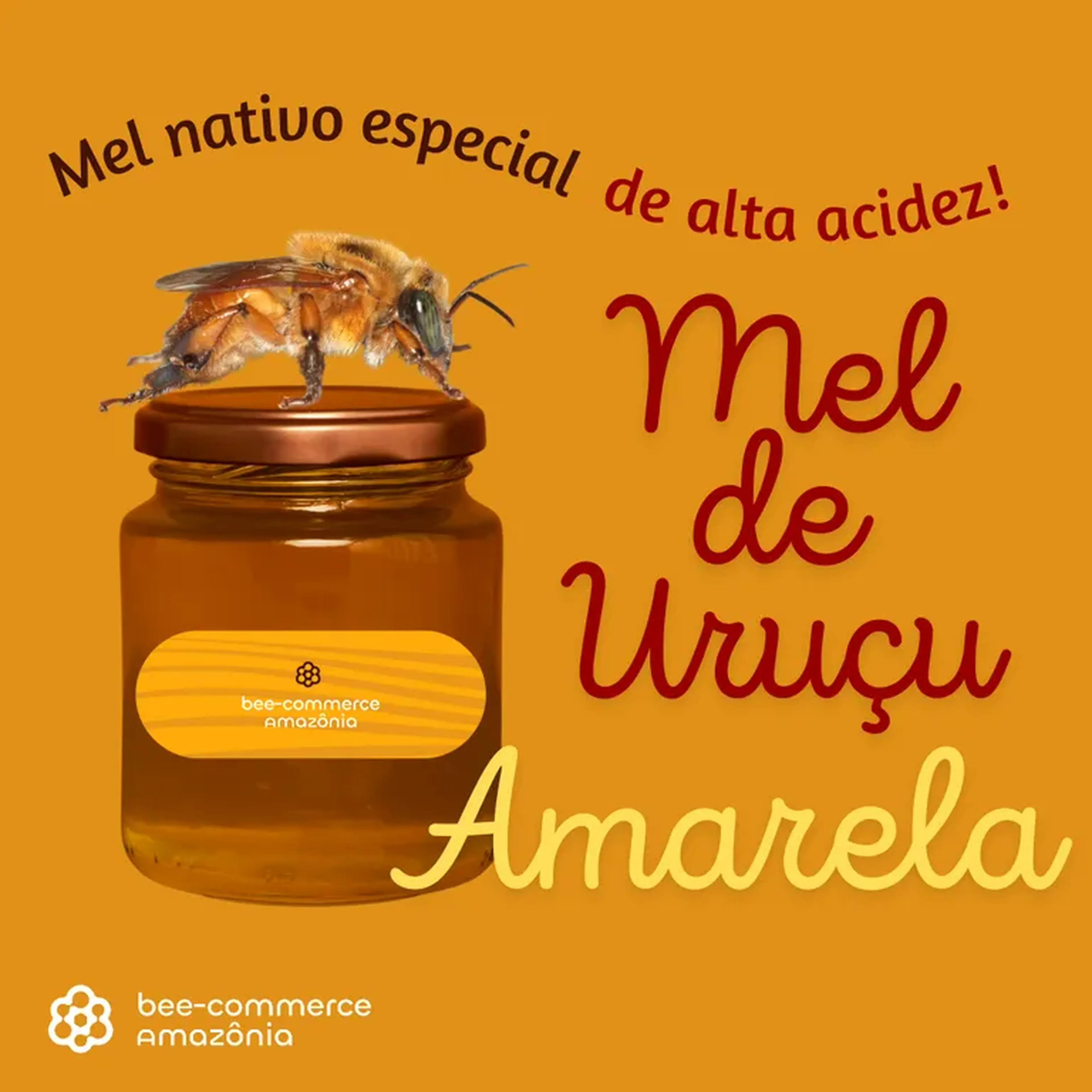 Mel de Uruçu-amarela - 150 ml imagem