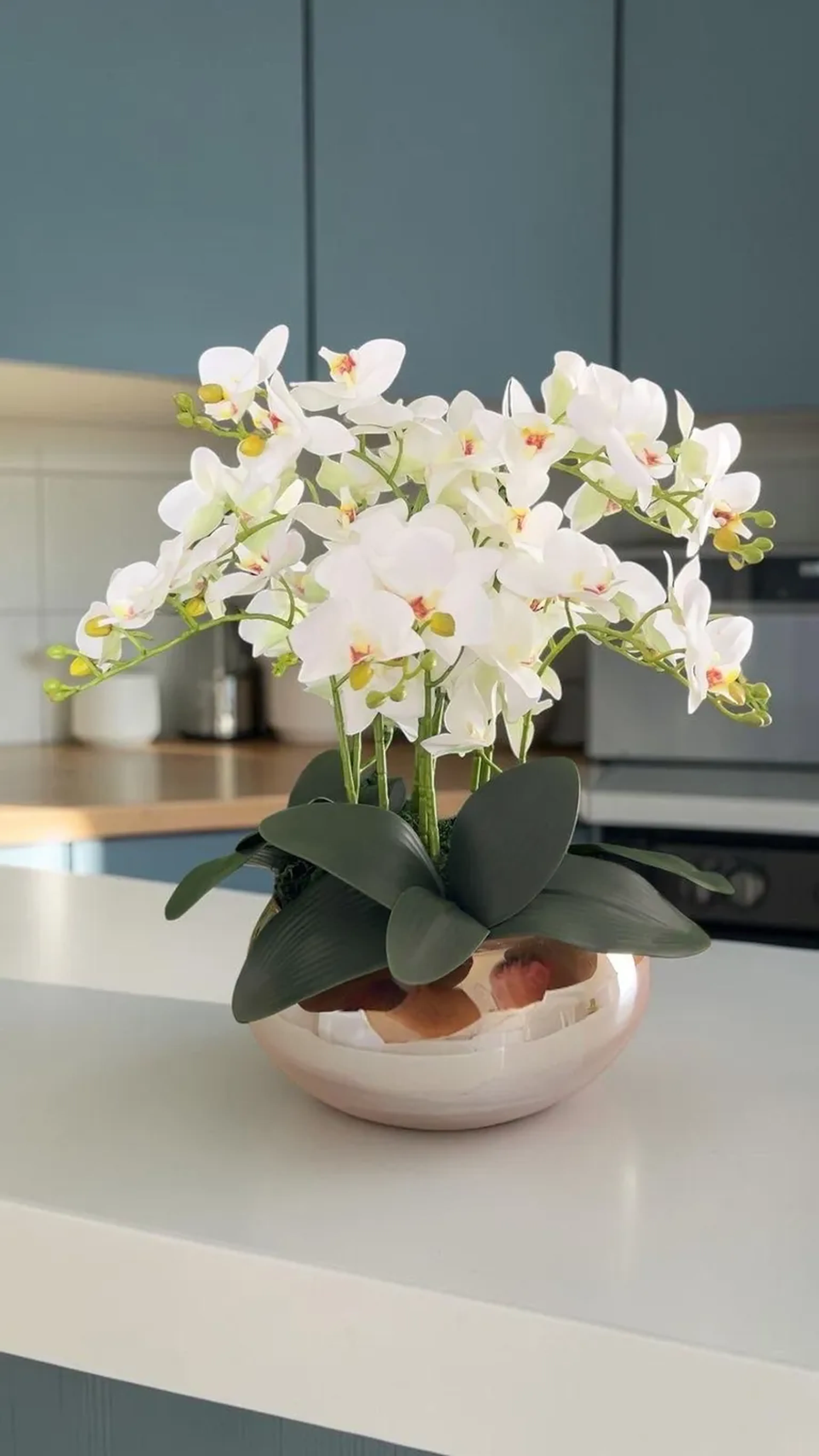 Arranjo de orquídea M imagem