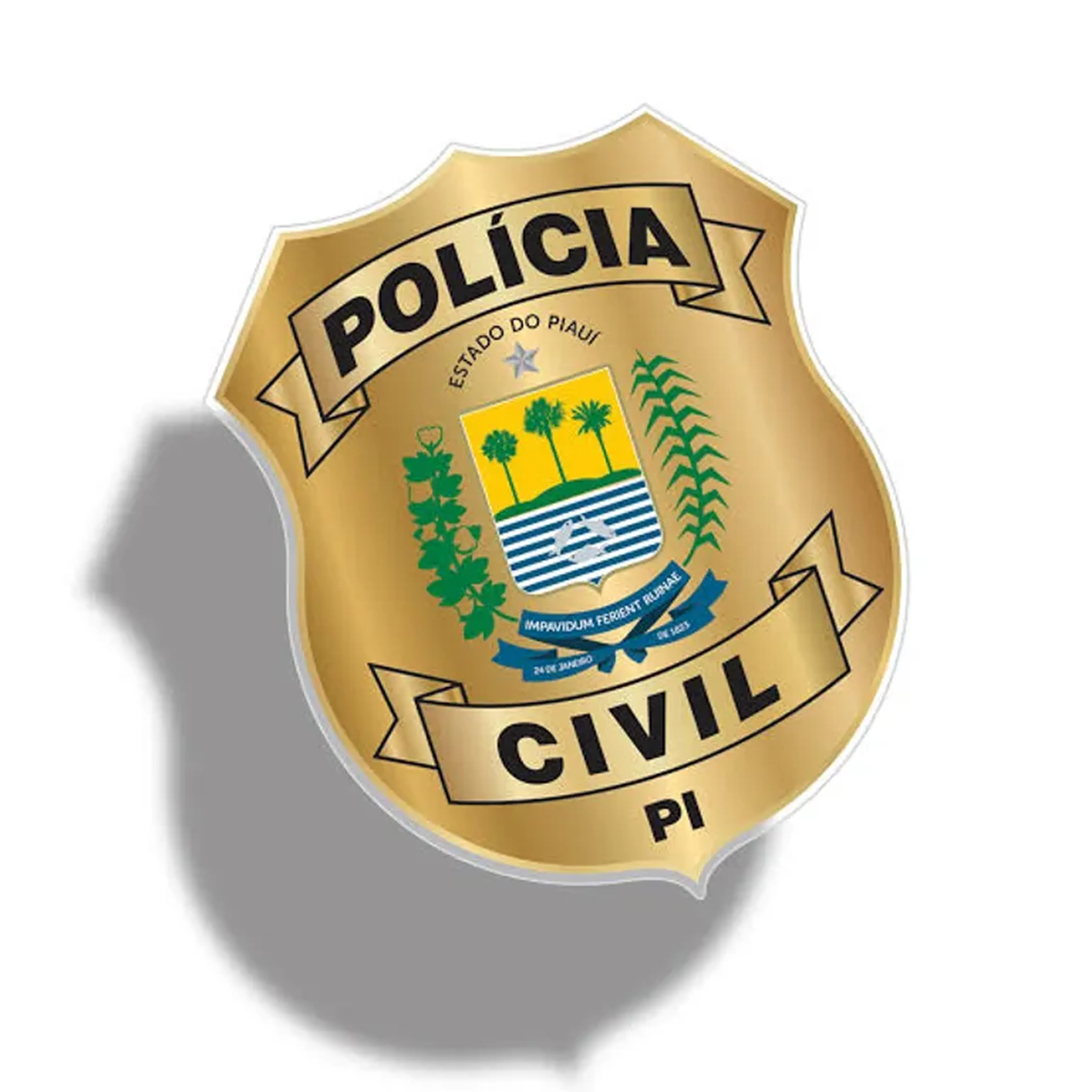 Recurso Delegado PI - Discursiva na Prática (peça técnica) imagem
