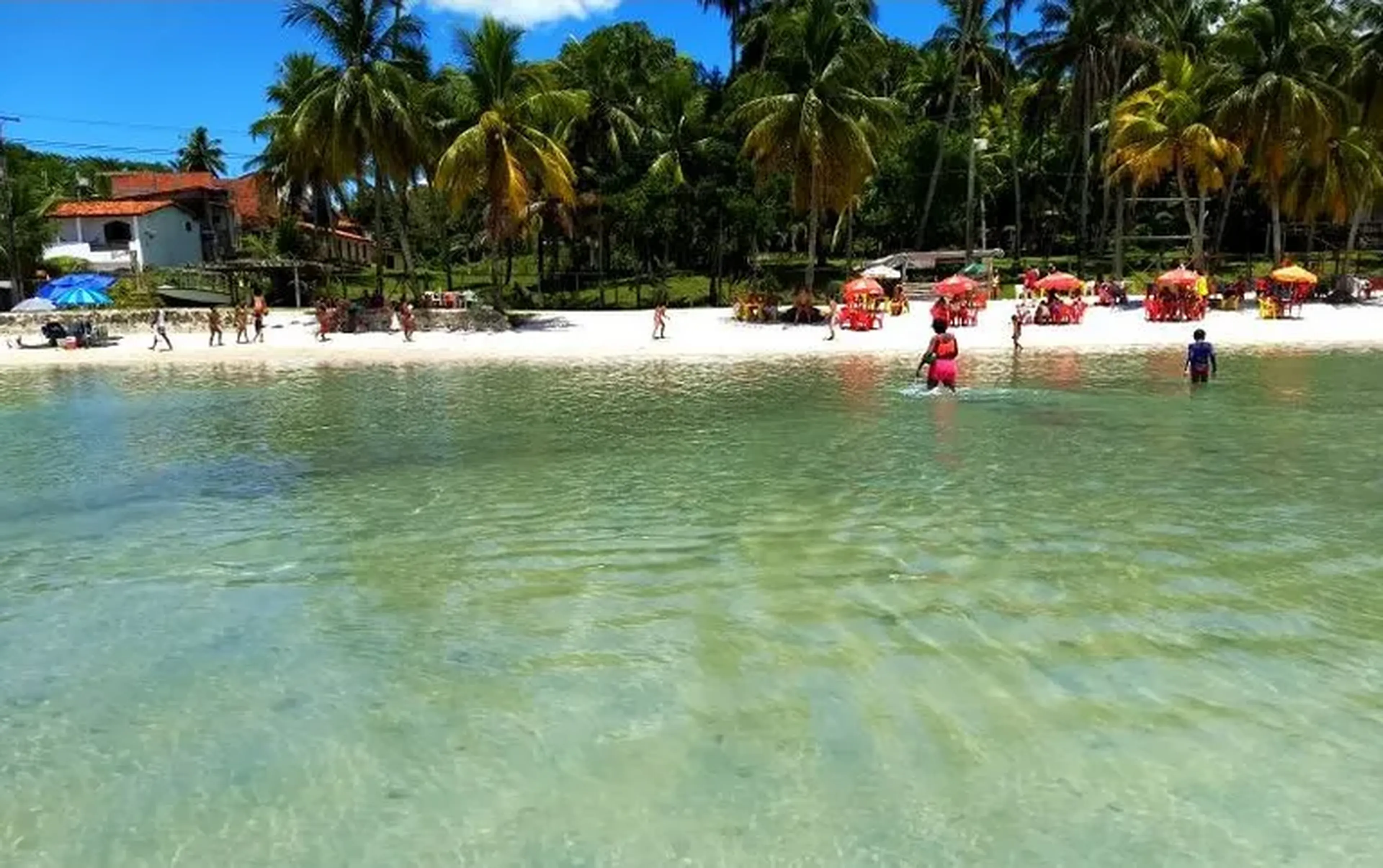 PRAIA DAS NEVES- ILHA DE MARÉ 17 MAIO 2026 imagem