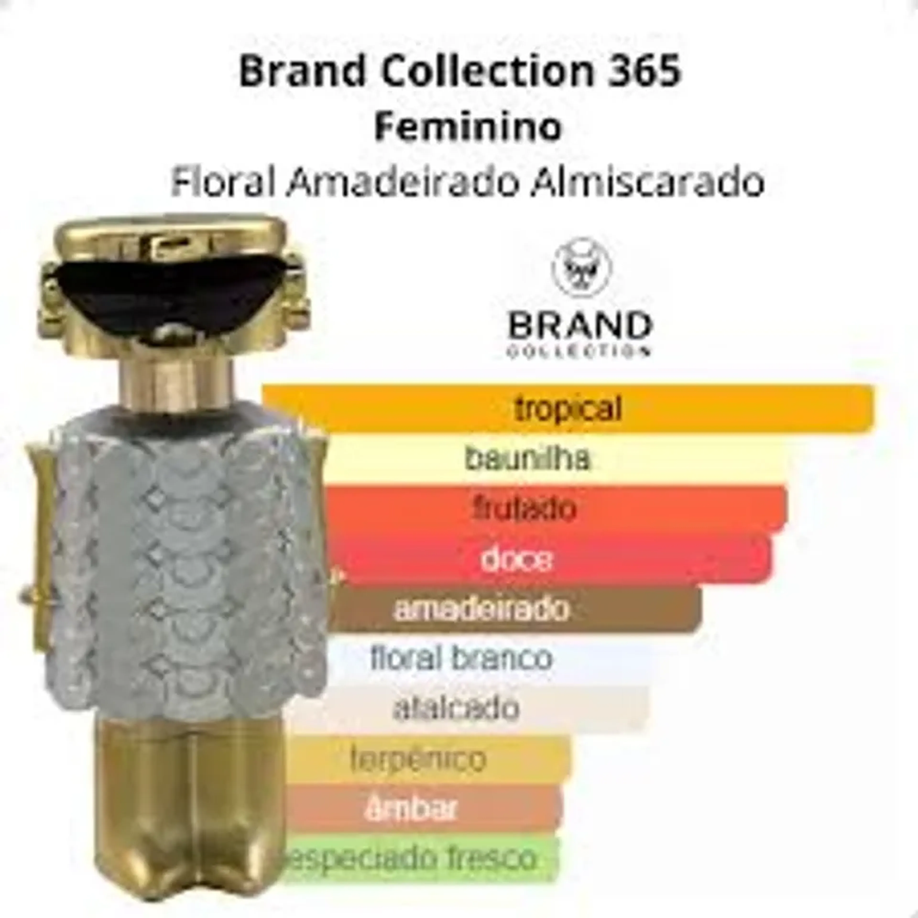 Brand Collection 365 - Inspiração Fame imagem