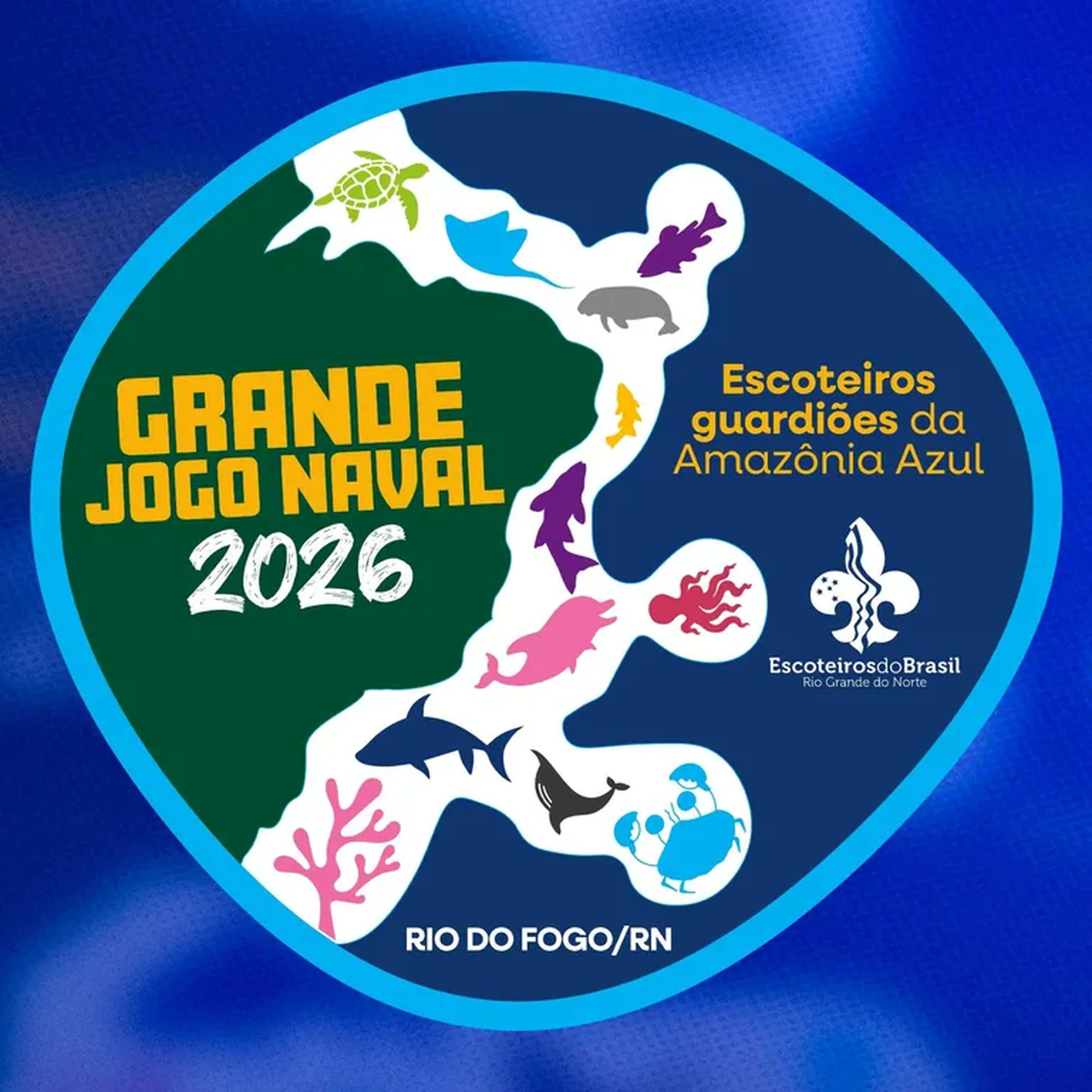 Grande Jogo Naval JOVEM imagem