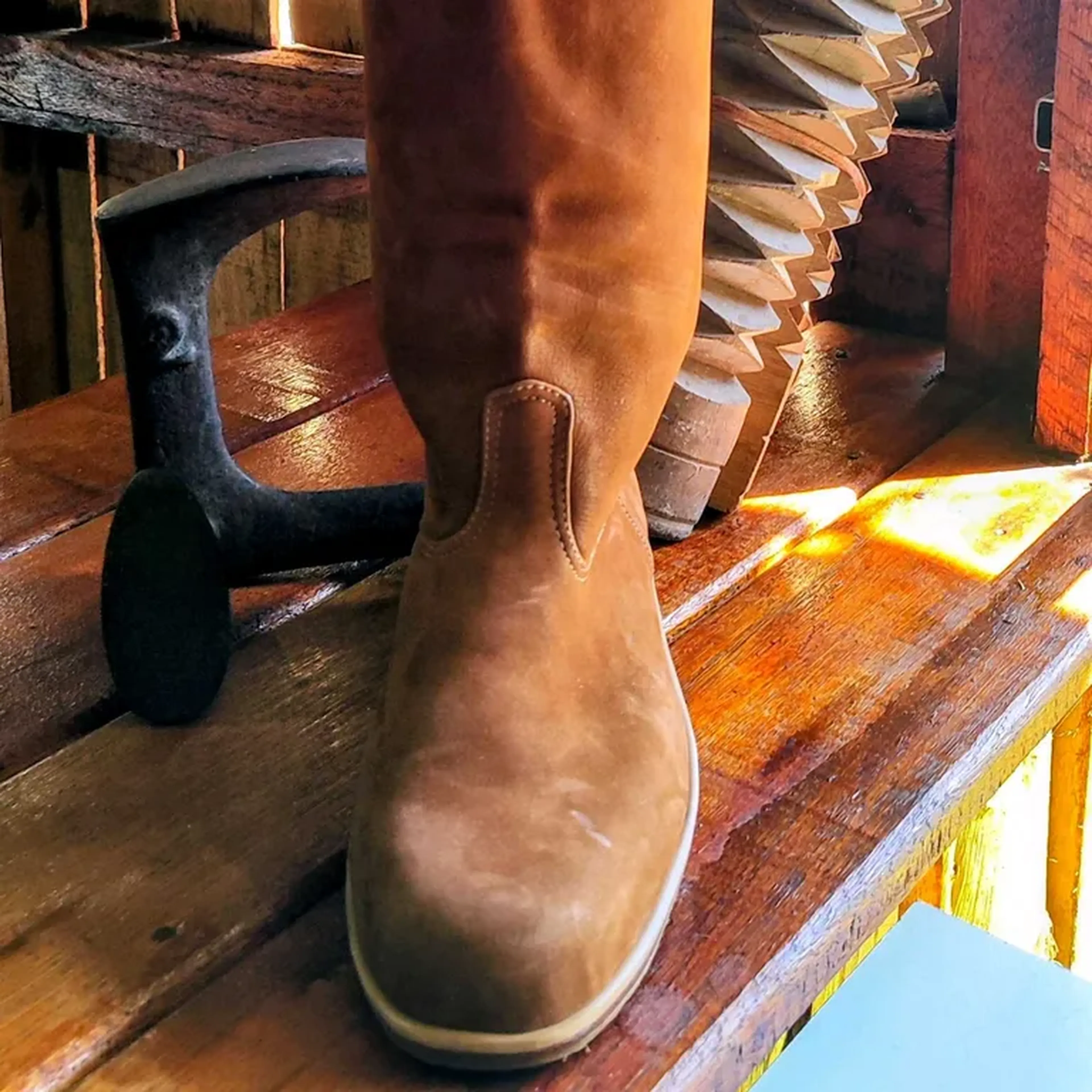 Bota couro de búfalo imagem