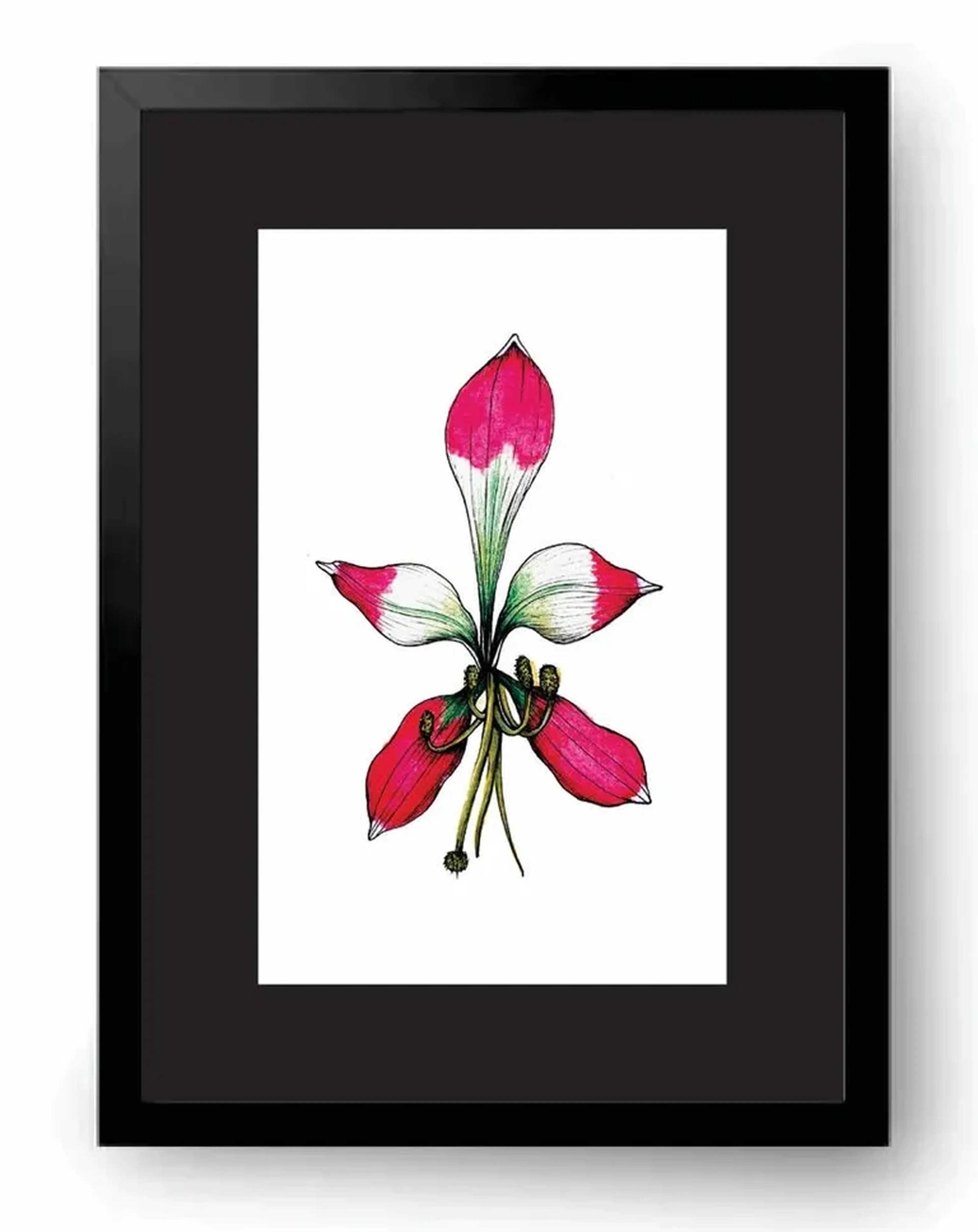 Alstroemeria - 24,5cm x 18,5cm imagem